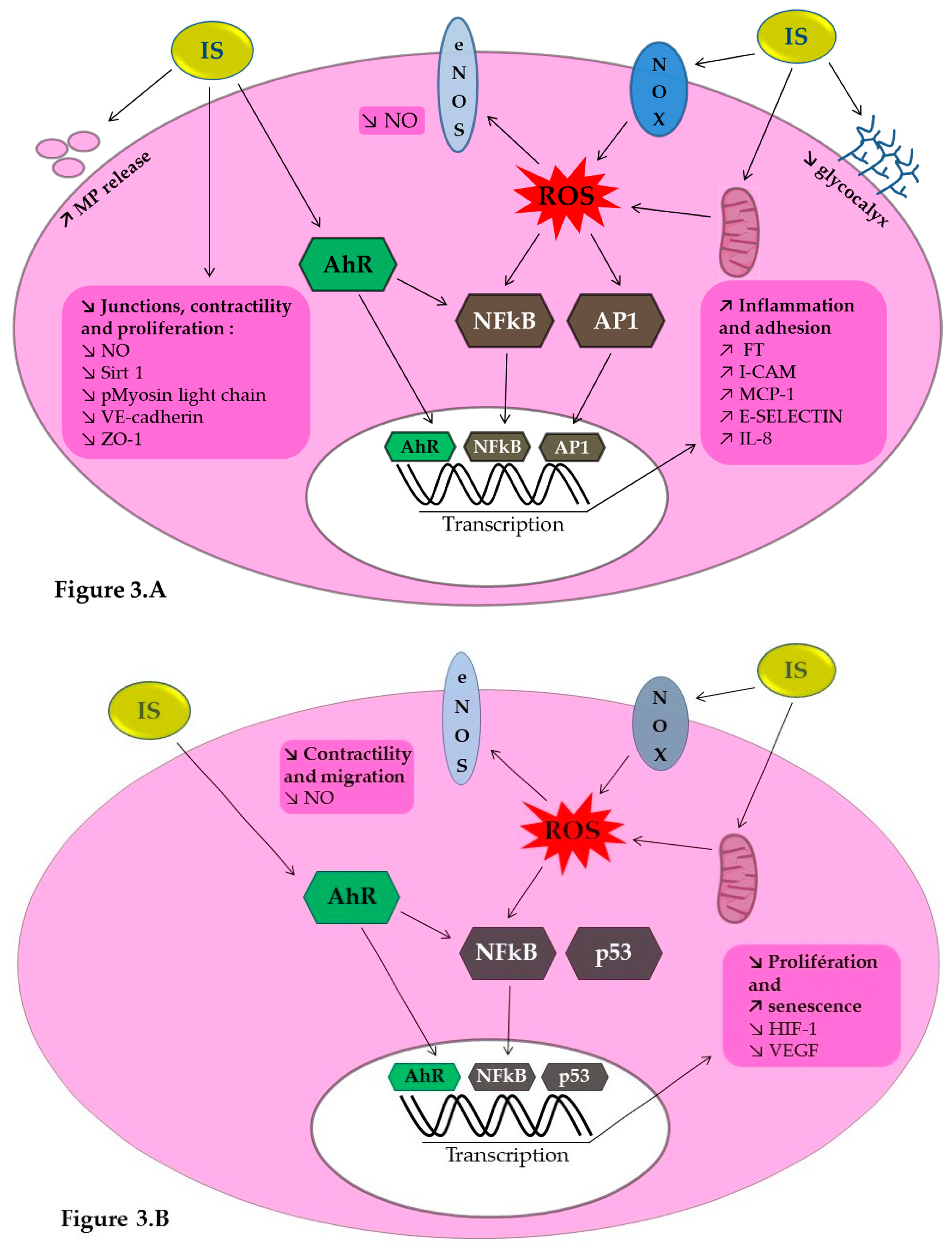 Toxins 12 00229 g003