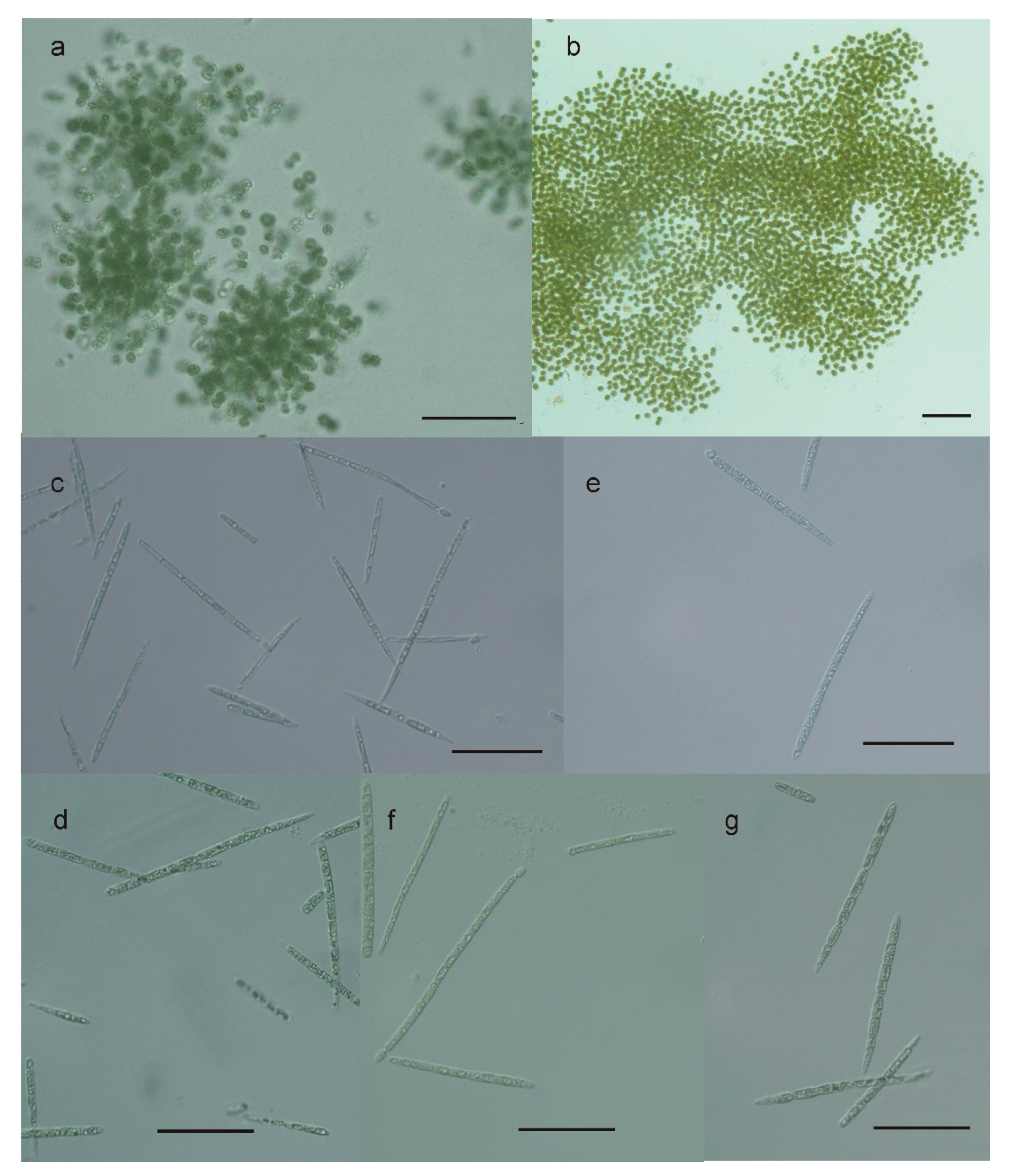 Toxins 12 00232 g002