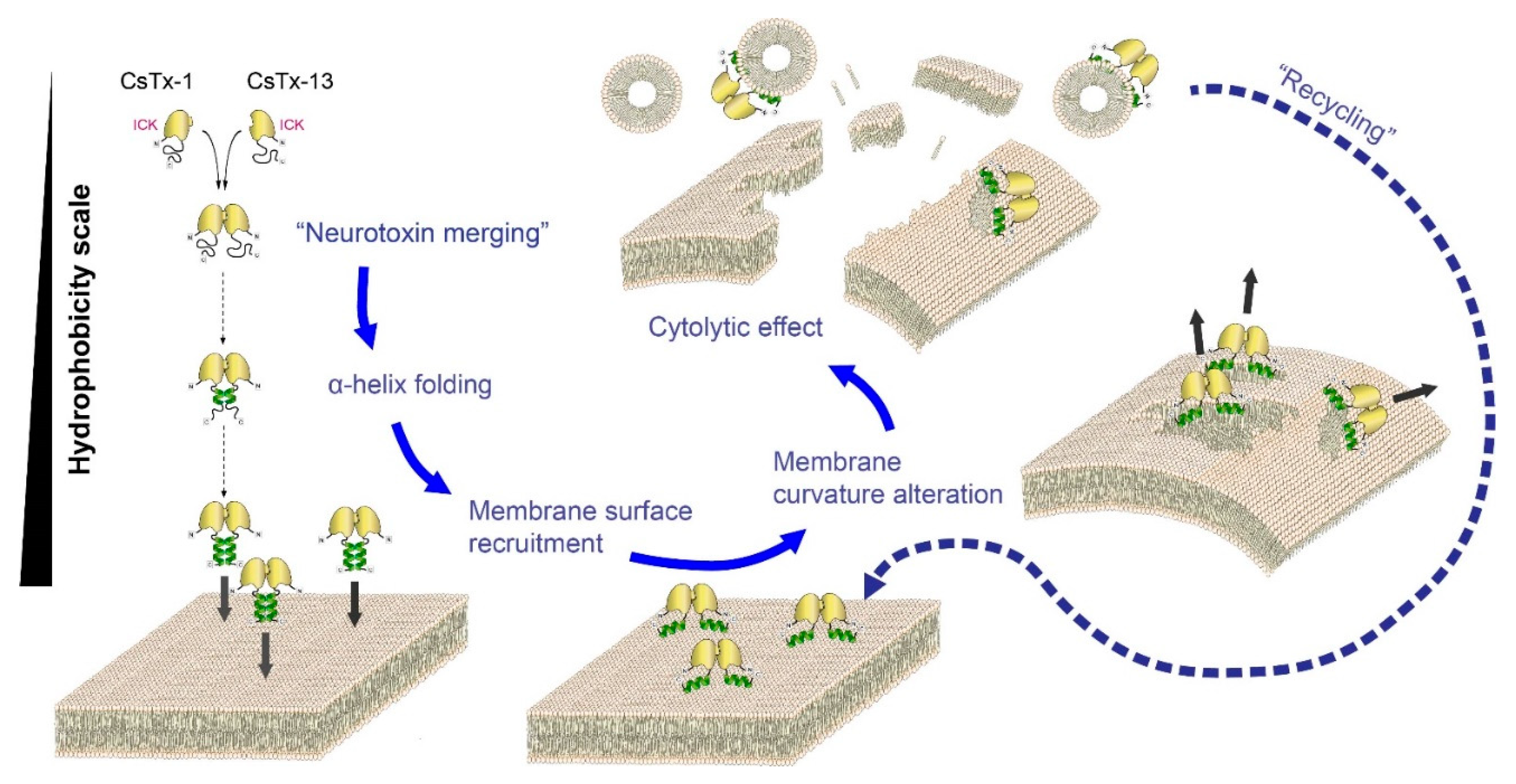 Toxins 12 00250 g009