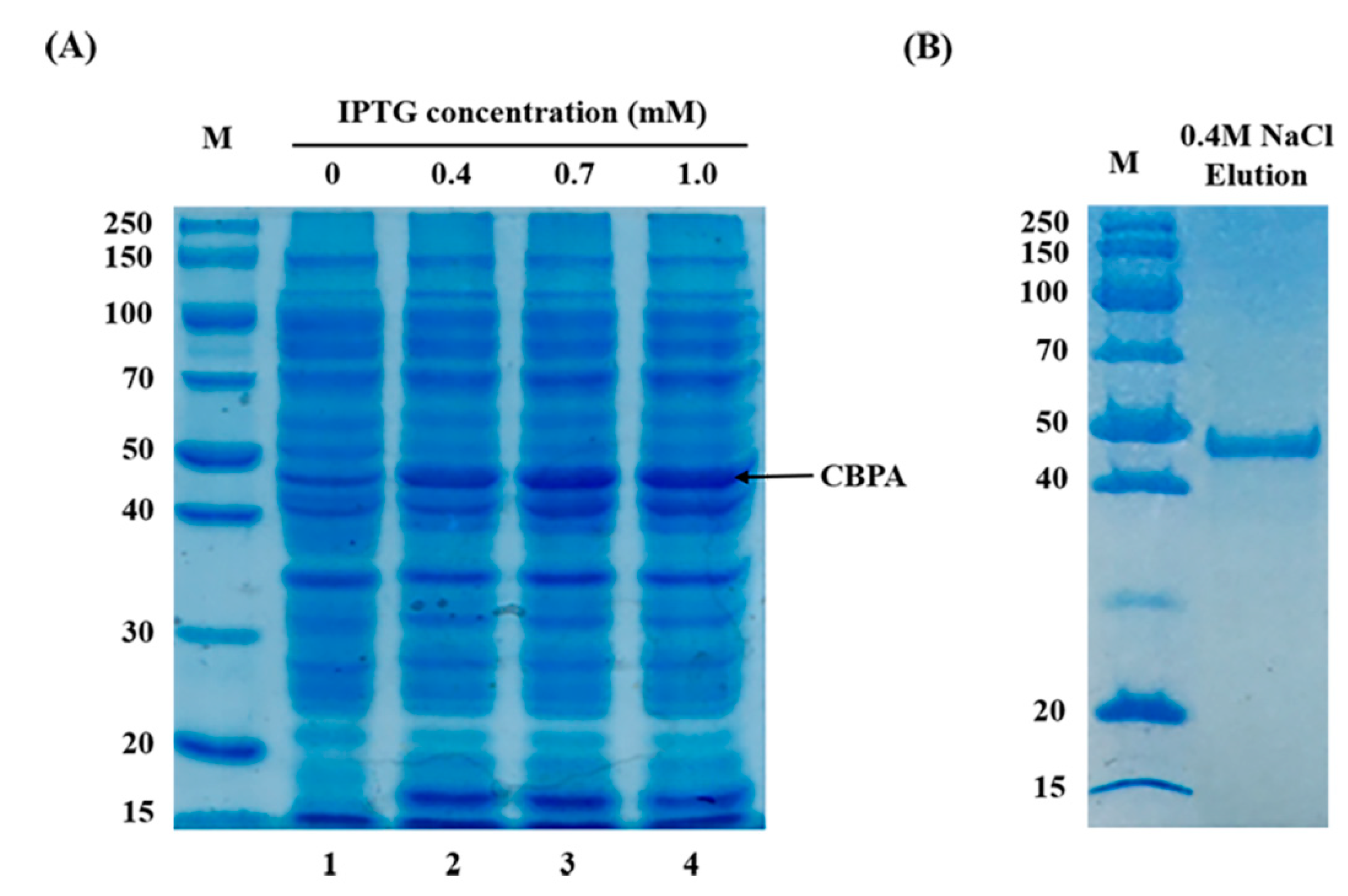 Toxins 12 00252 g005