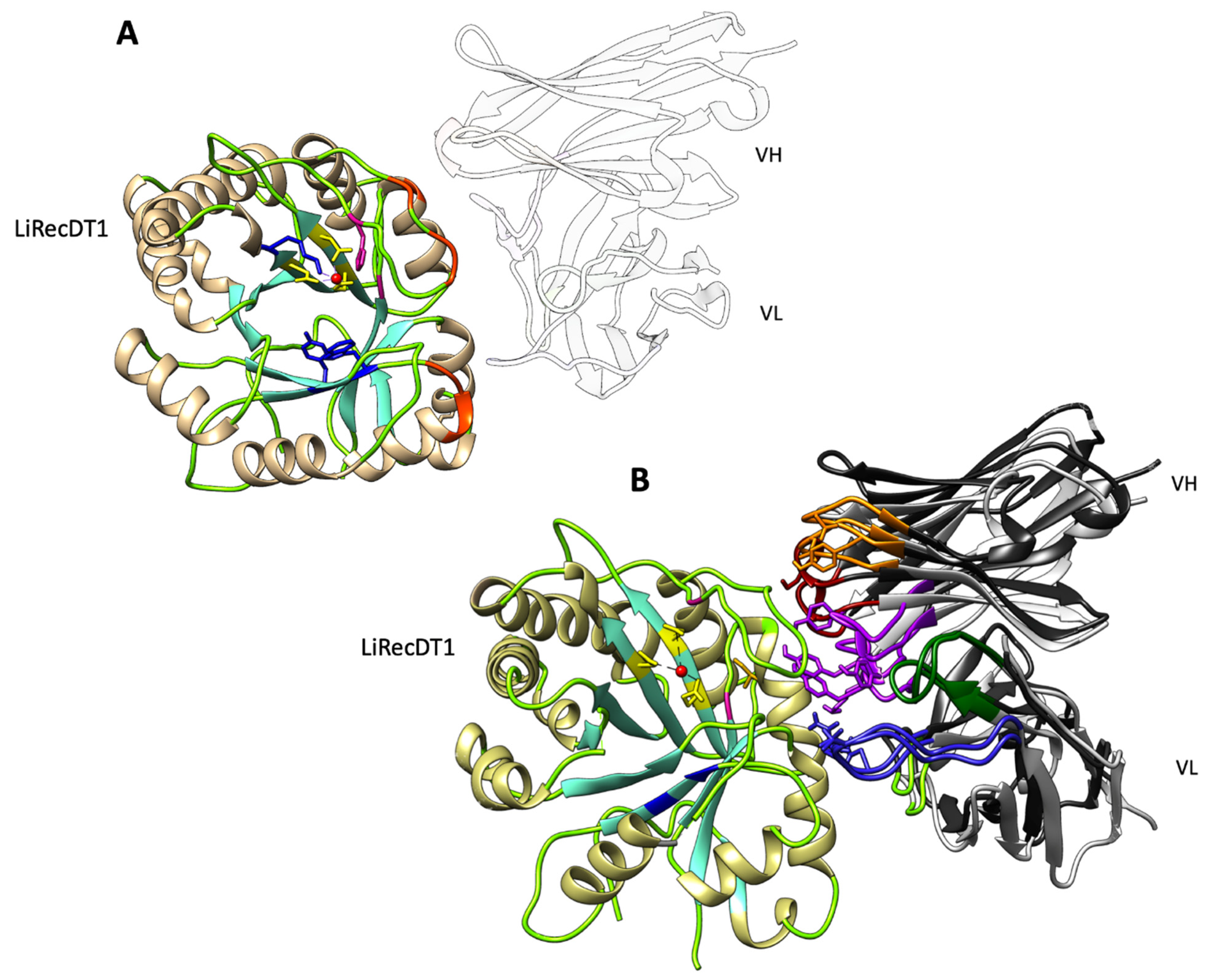 Toxins 12 00256 g005