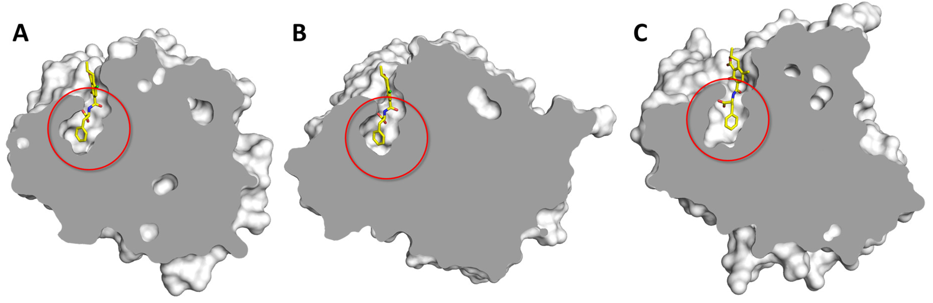 Toxins 12 00258 g004