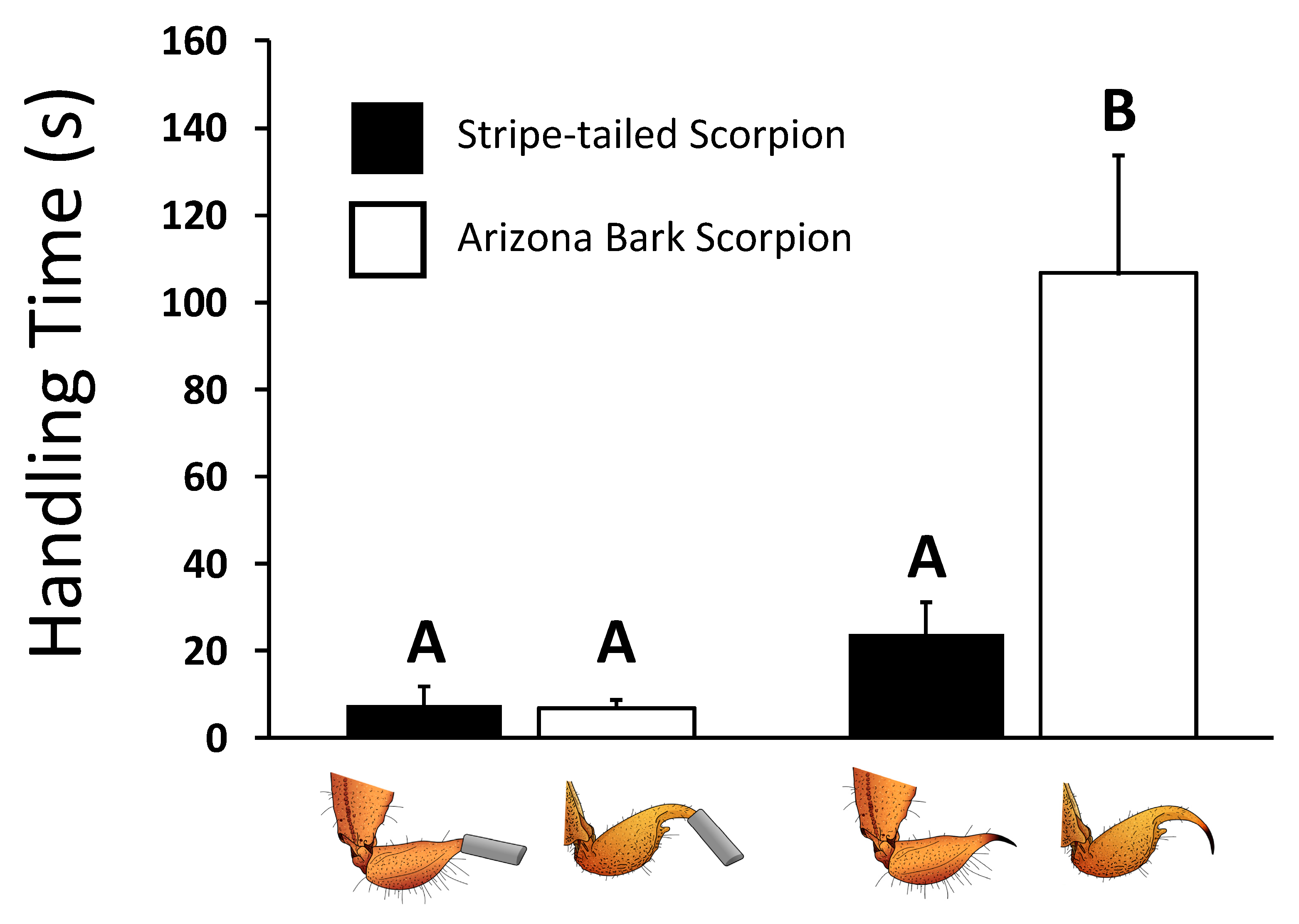 Toxins 12 00260 g002