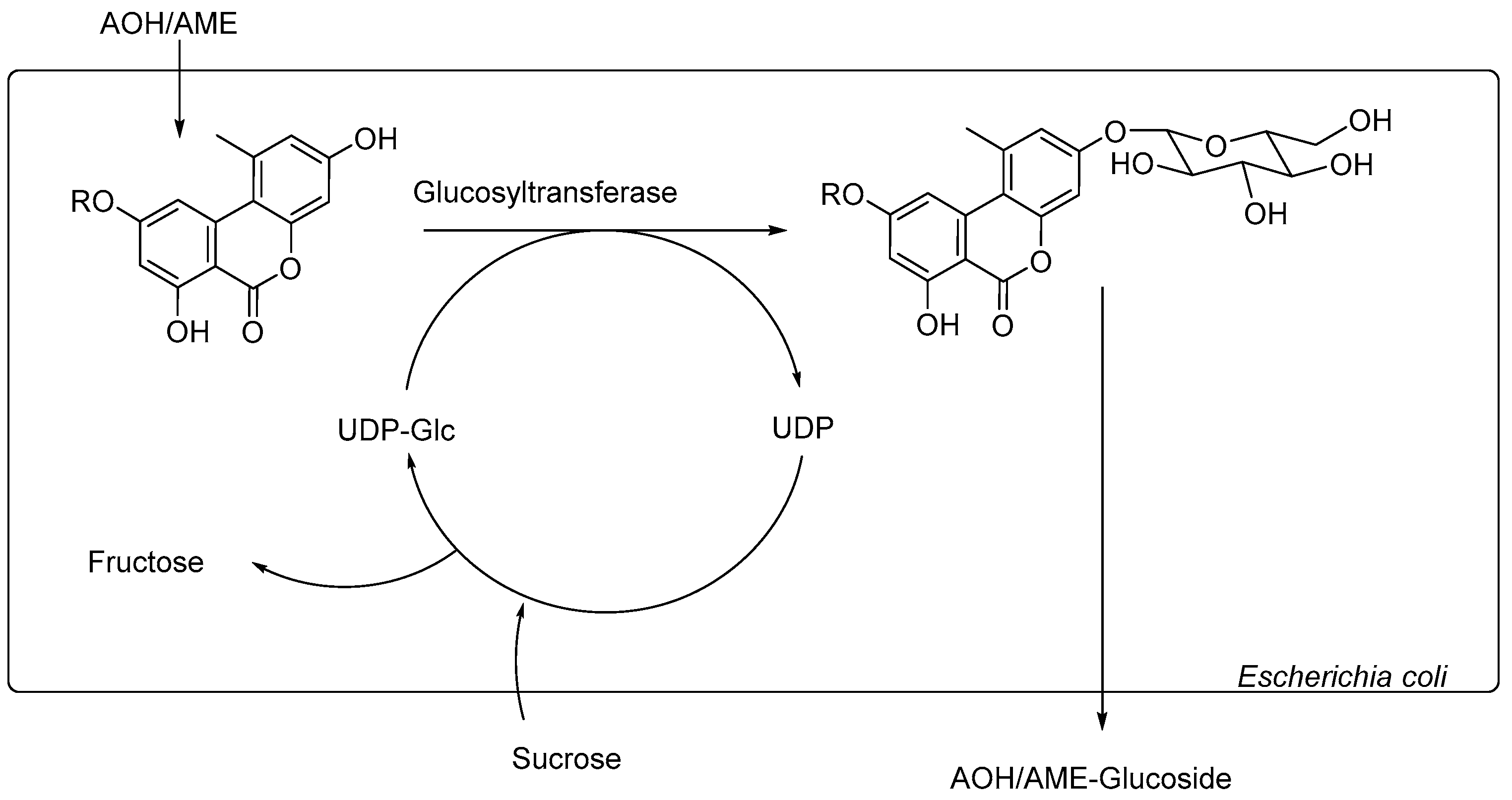 Toxins 12 00264 g002