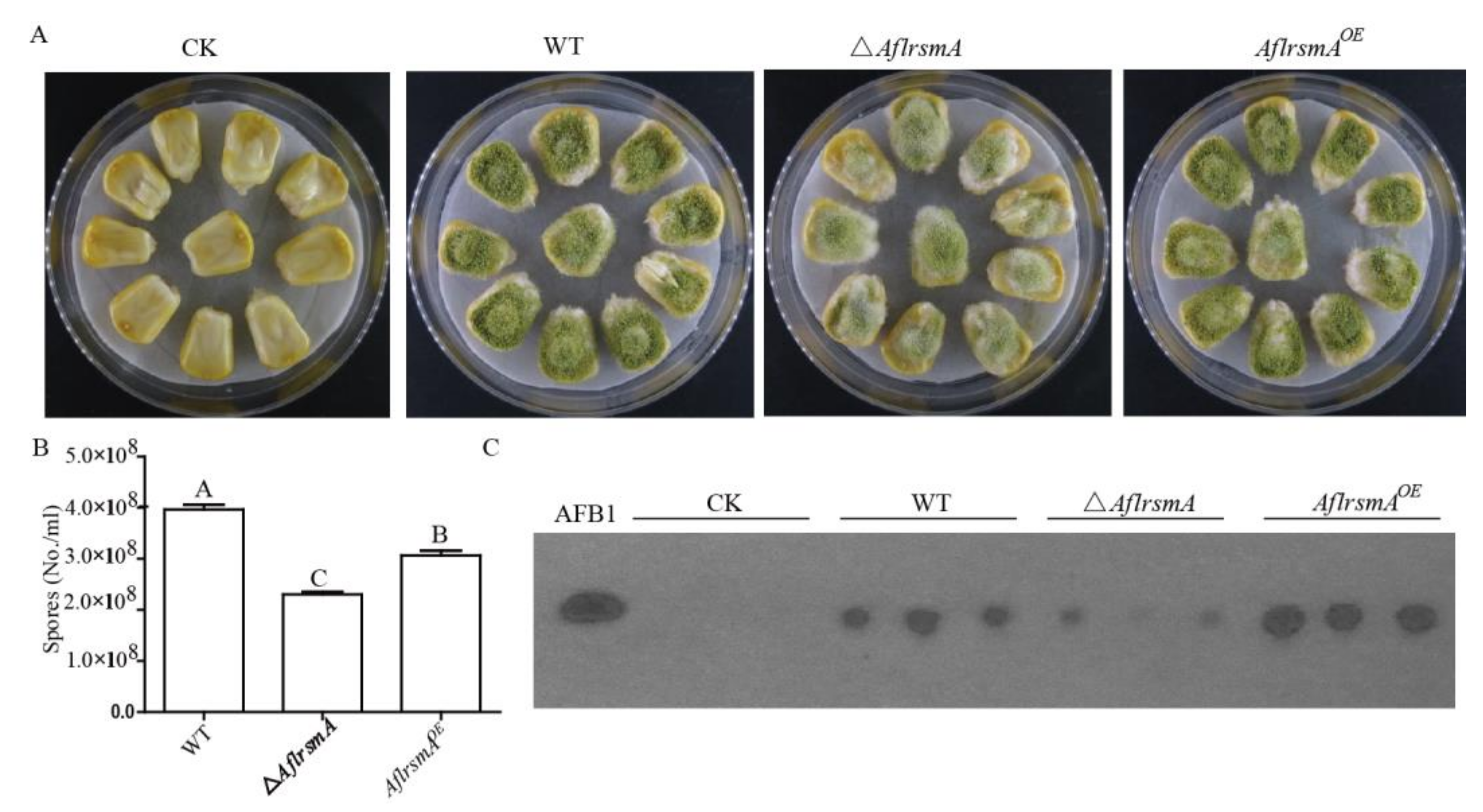 Toxins 12 00271 g006