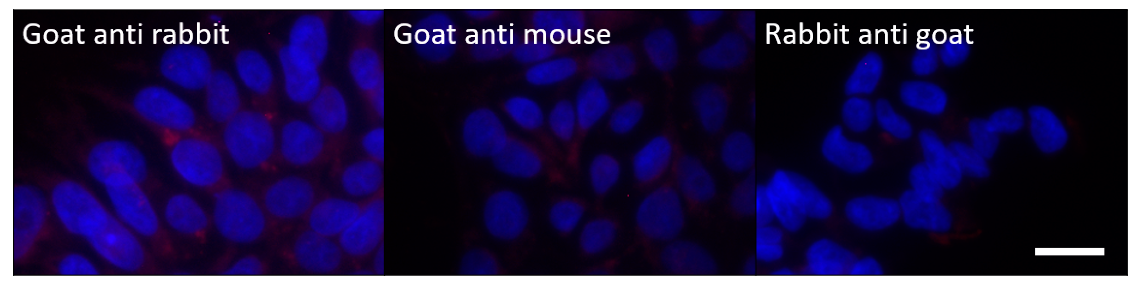 Toxins 12 00276 g0a1 Toxins 12 00276 g0a1