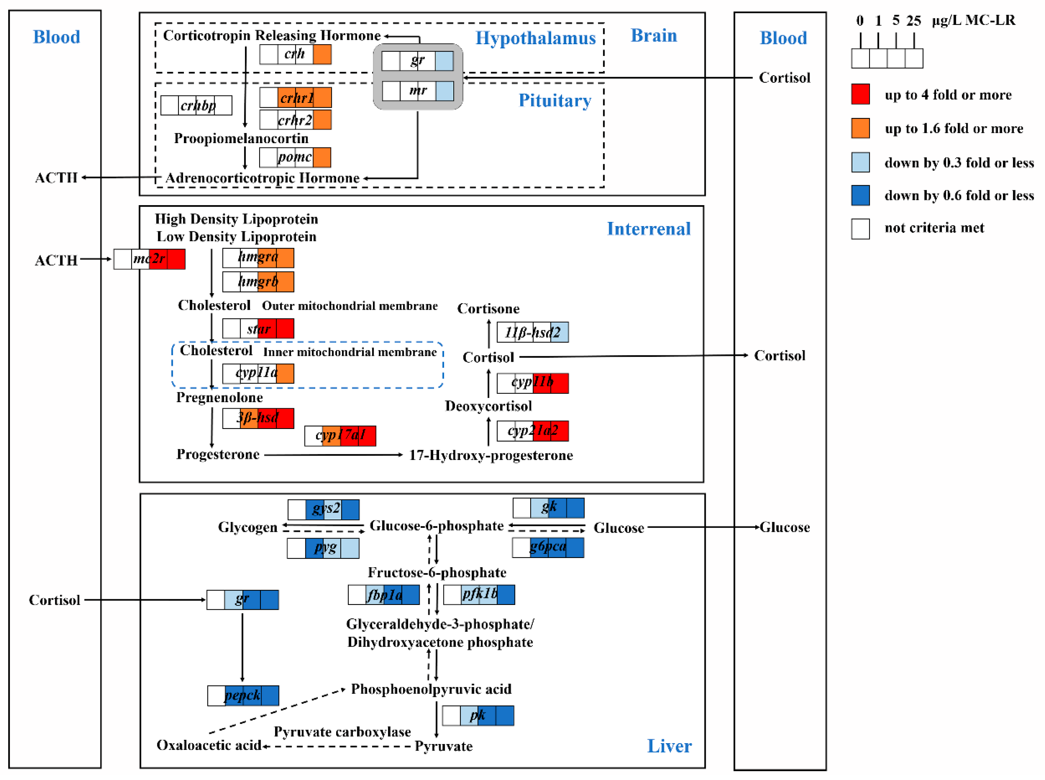 Toxins 12 00282 g004