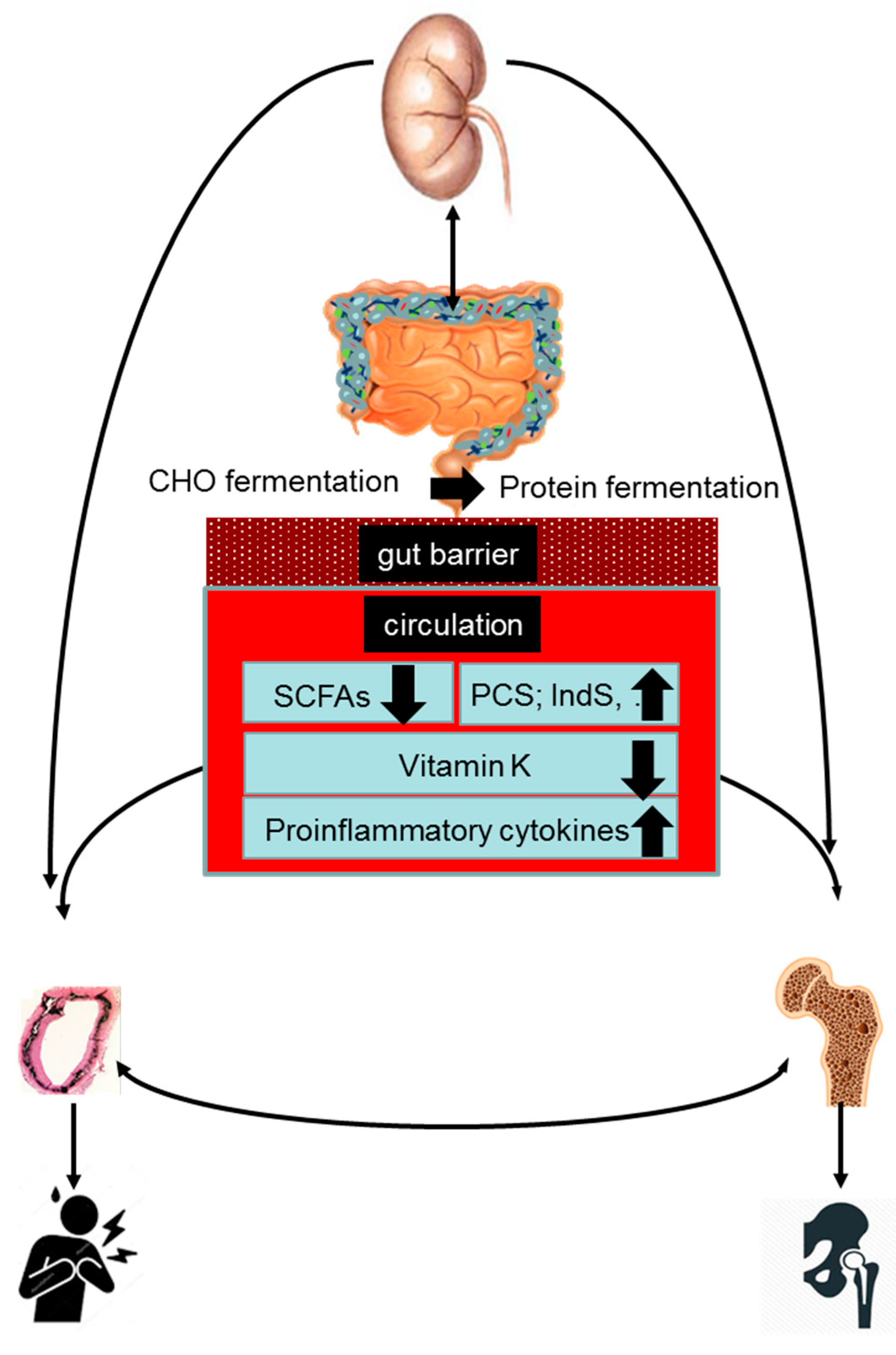 Toxins 12 00285 g001 Toxins 12 00285 g001