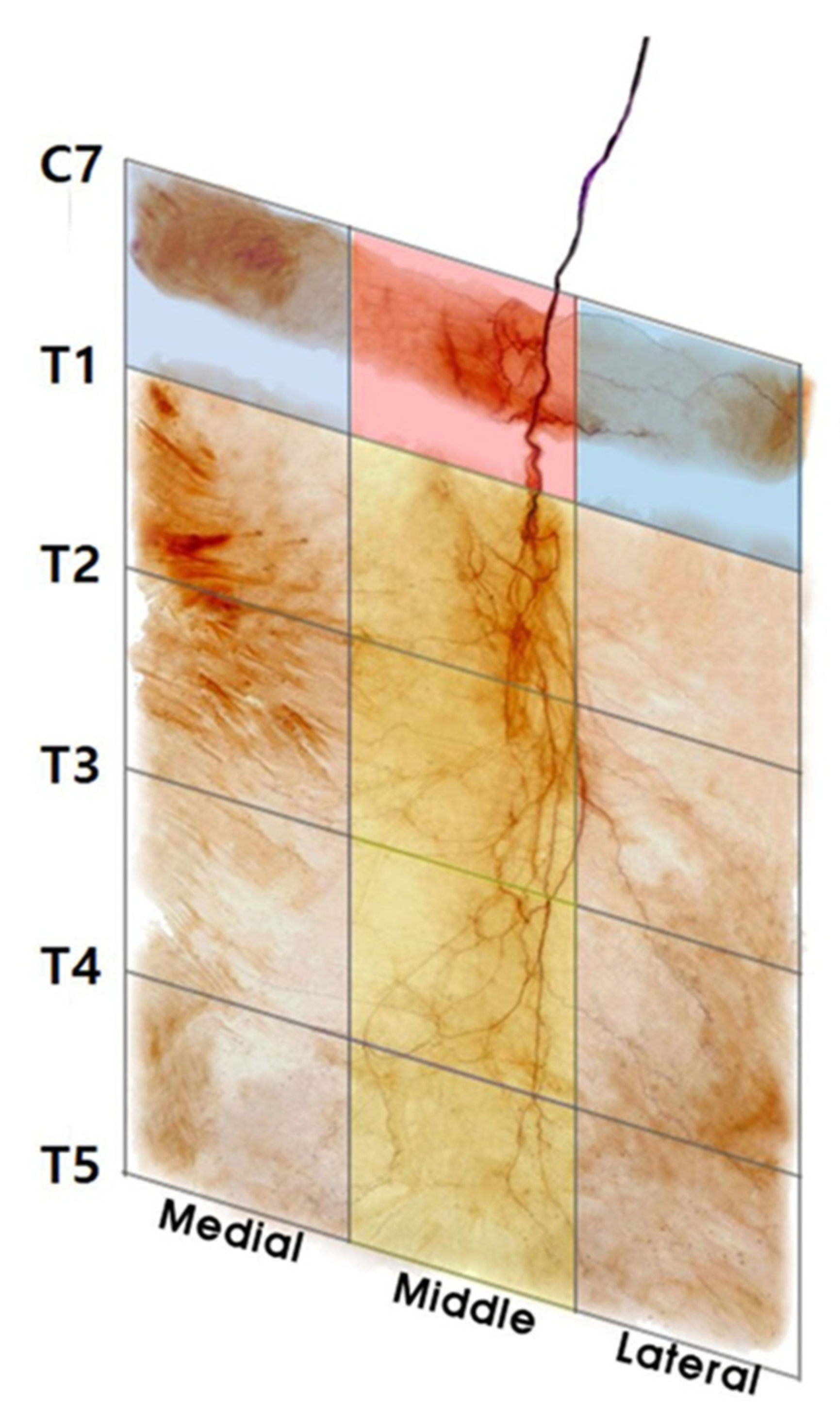 Toxins 12 00289 g002