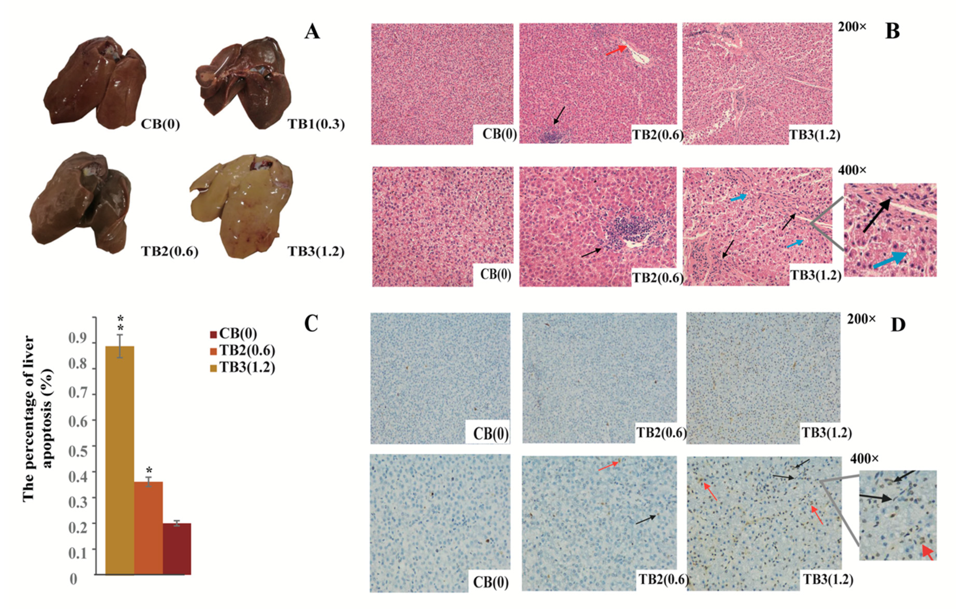 Toxins 12 00290 g001