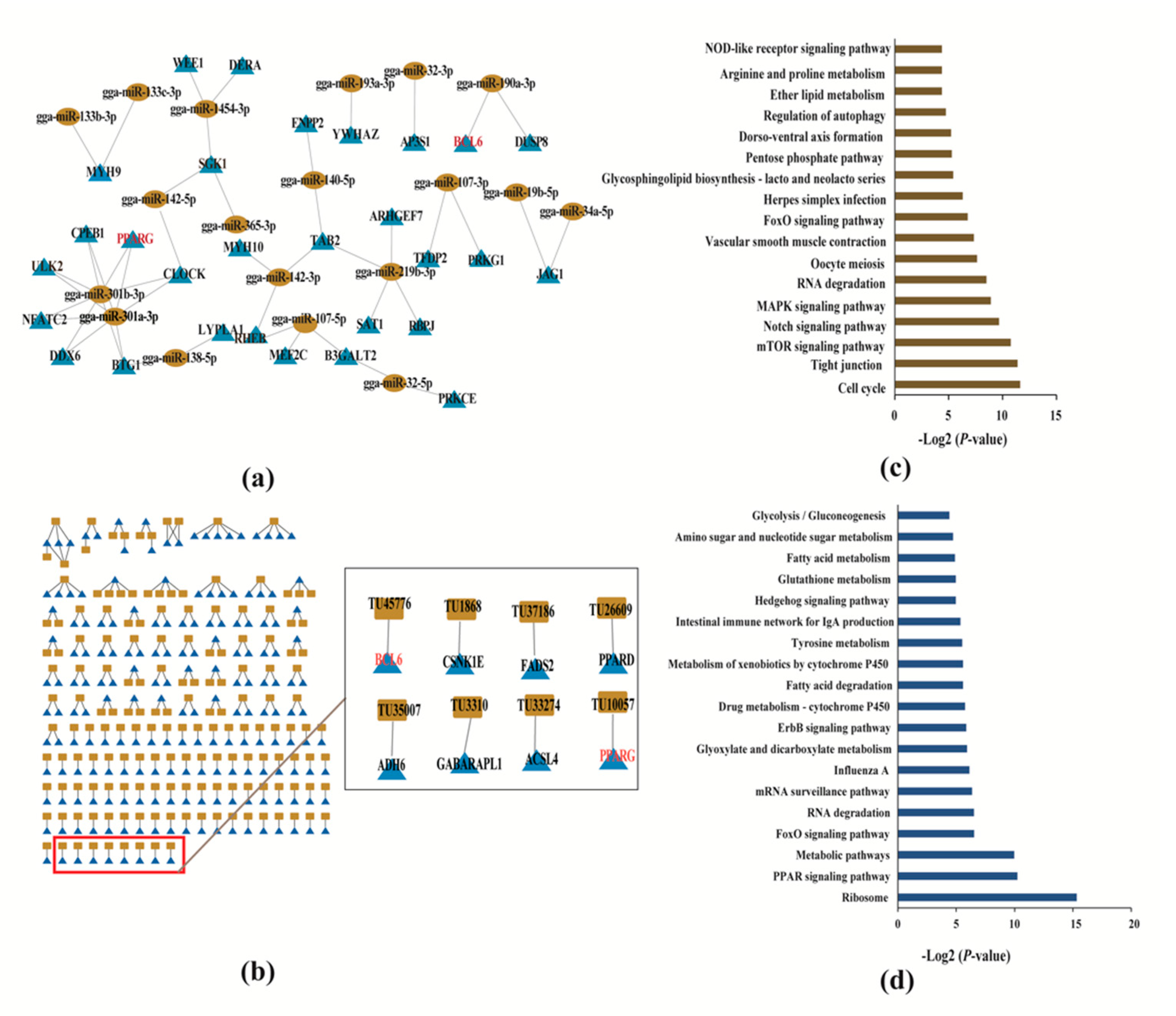 Toxins 12 00290 g004