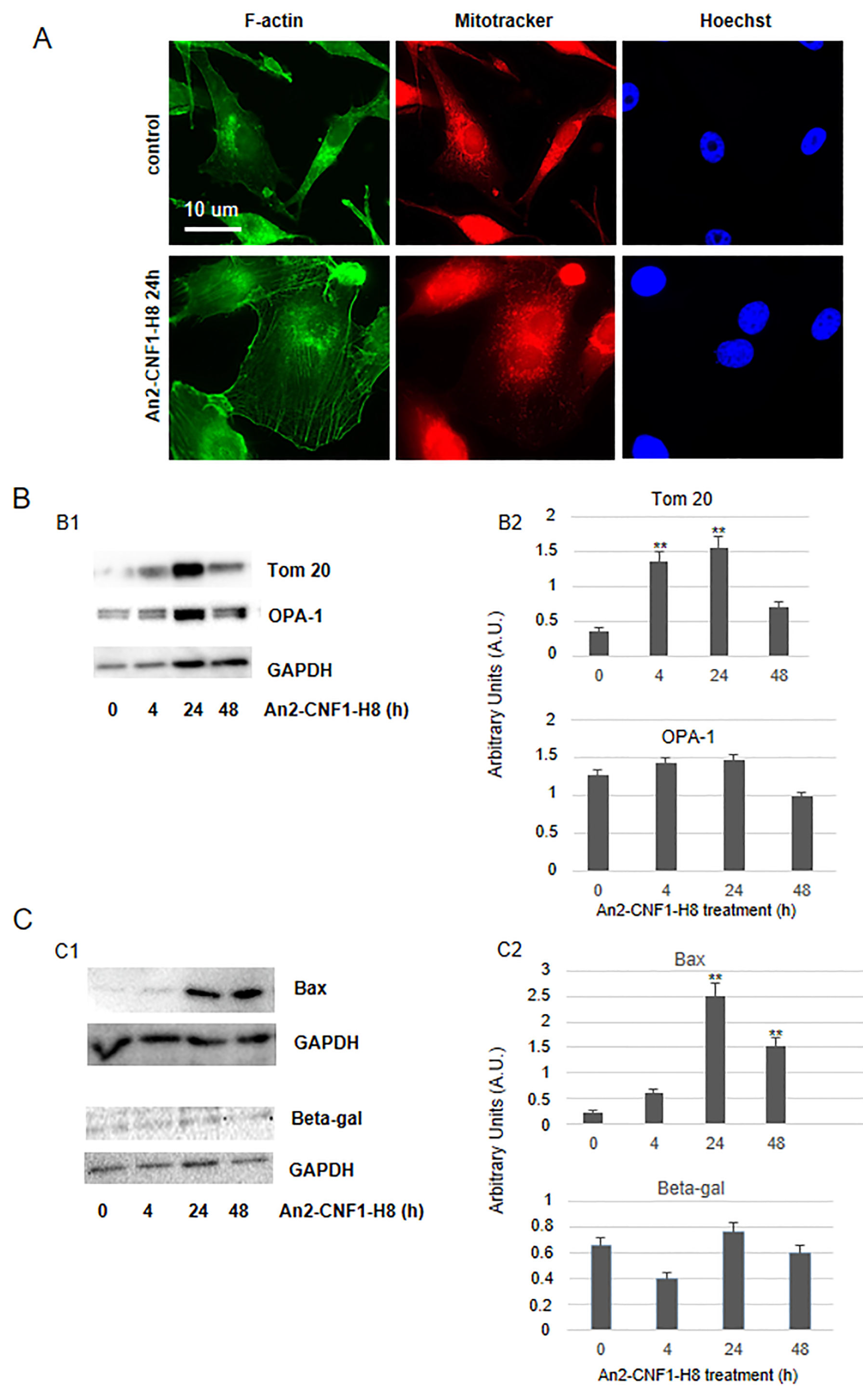 Toxins 12 00291 g006
