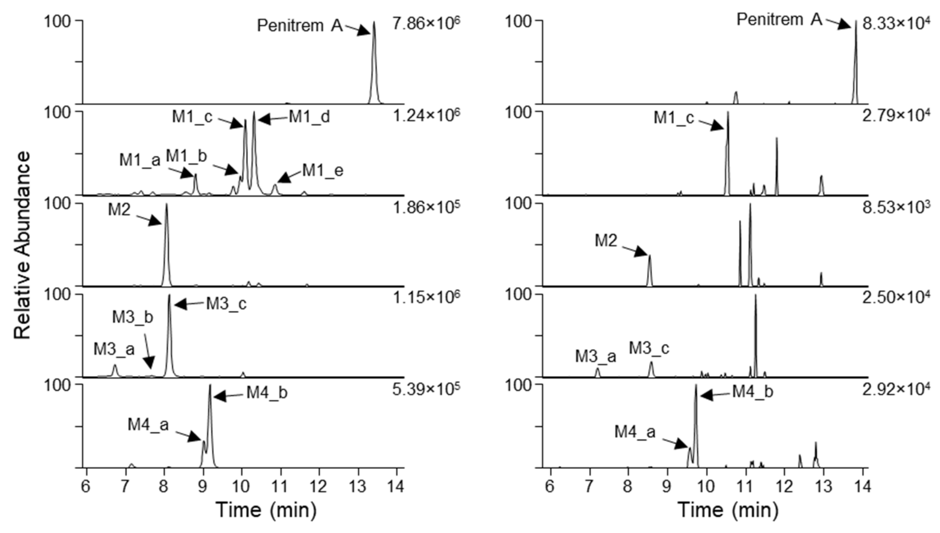 Toxins 12 00293 g003