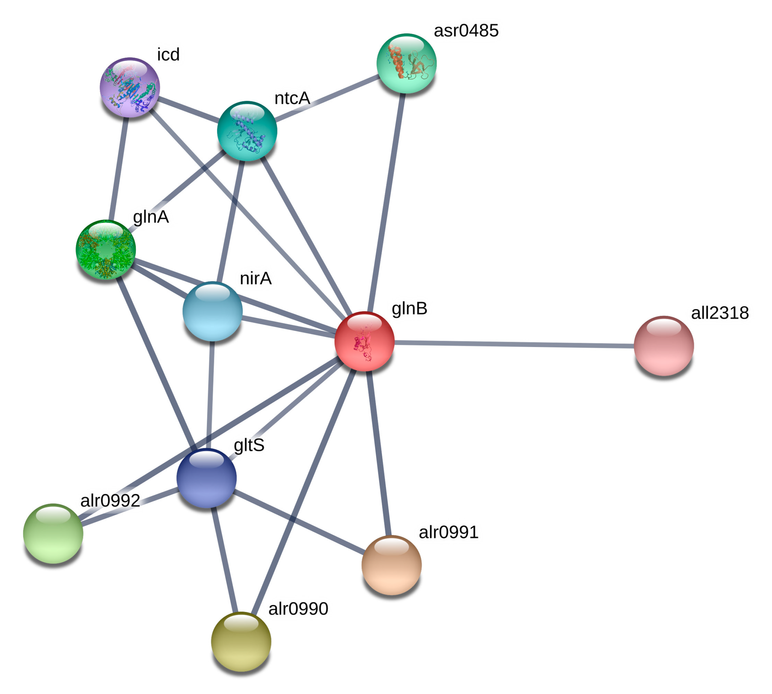 Toxins 12 00310 g002