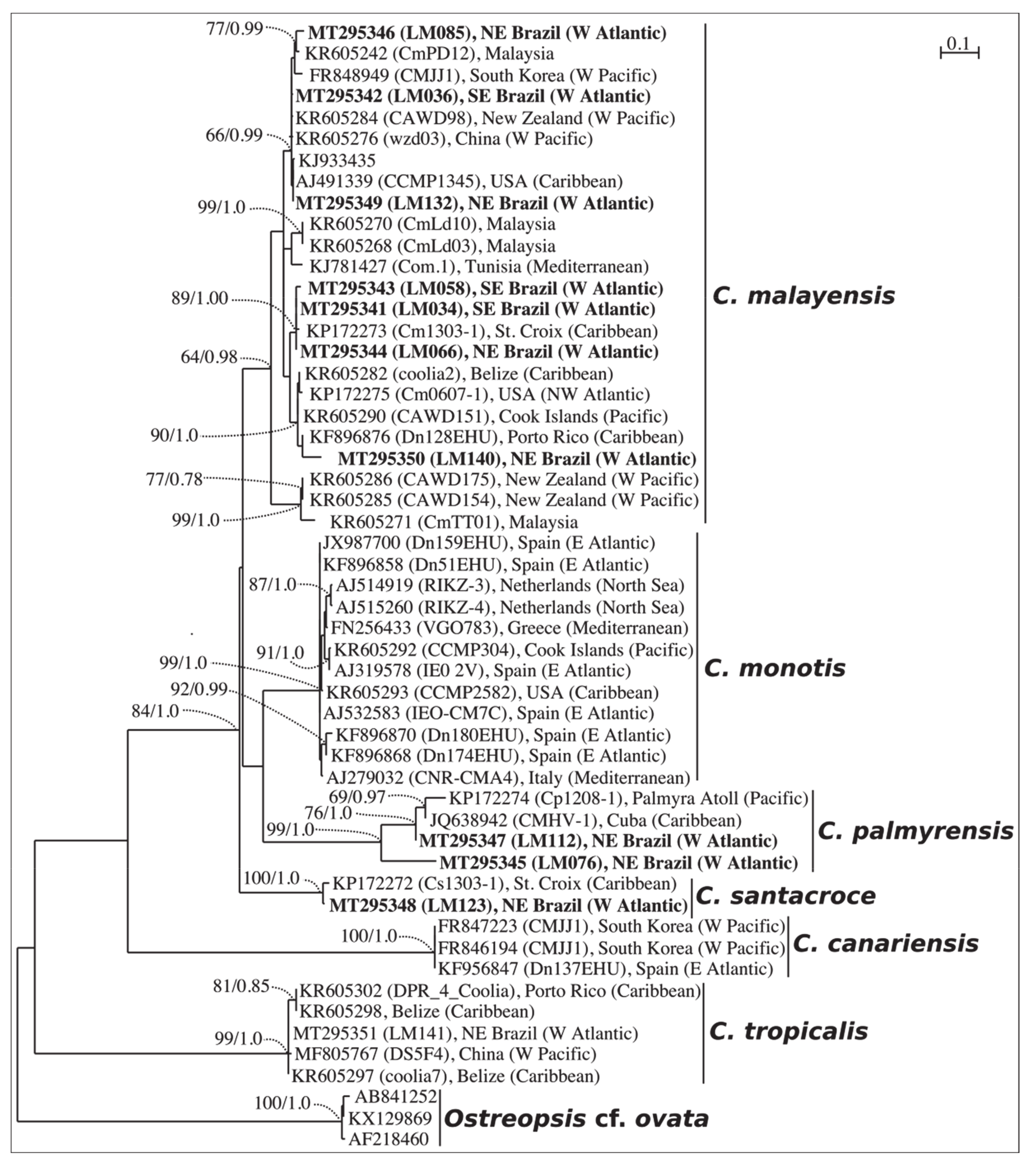 Toxins 12 00327 g001 Toxins 12 00327 g001