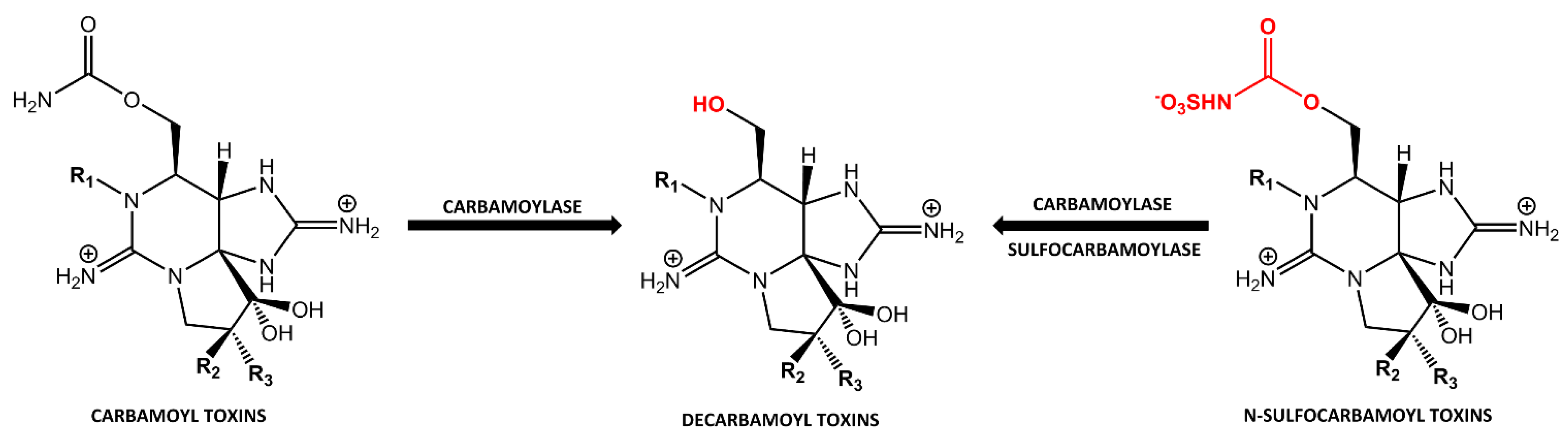 Toxins 12 00344 g001