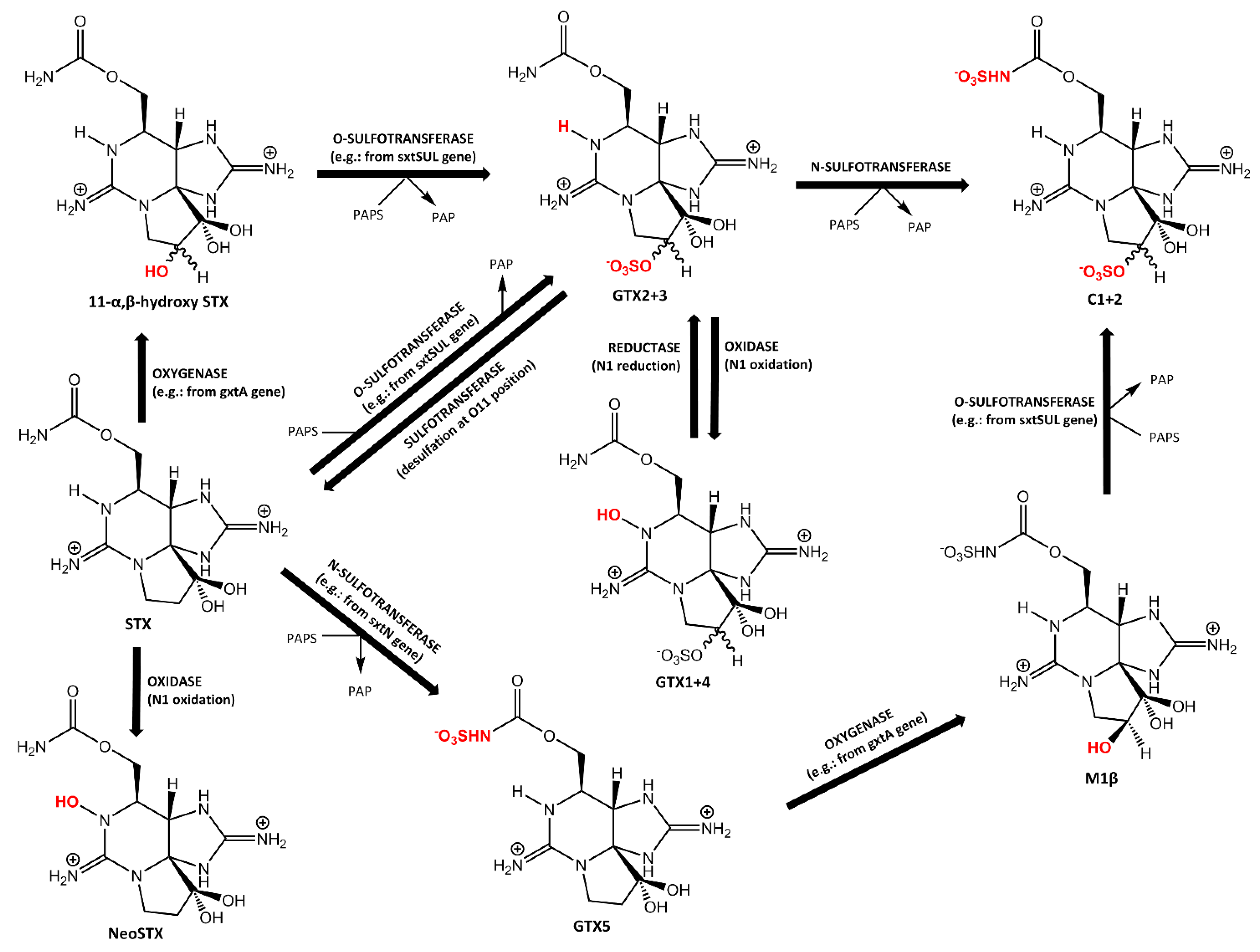 Toxins 12 00344 g002