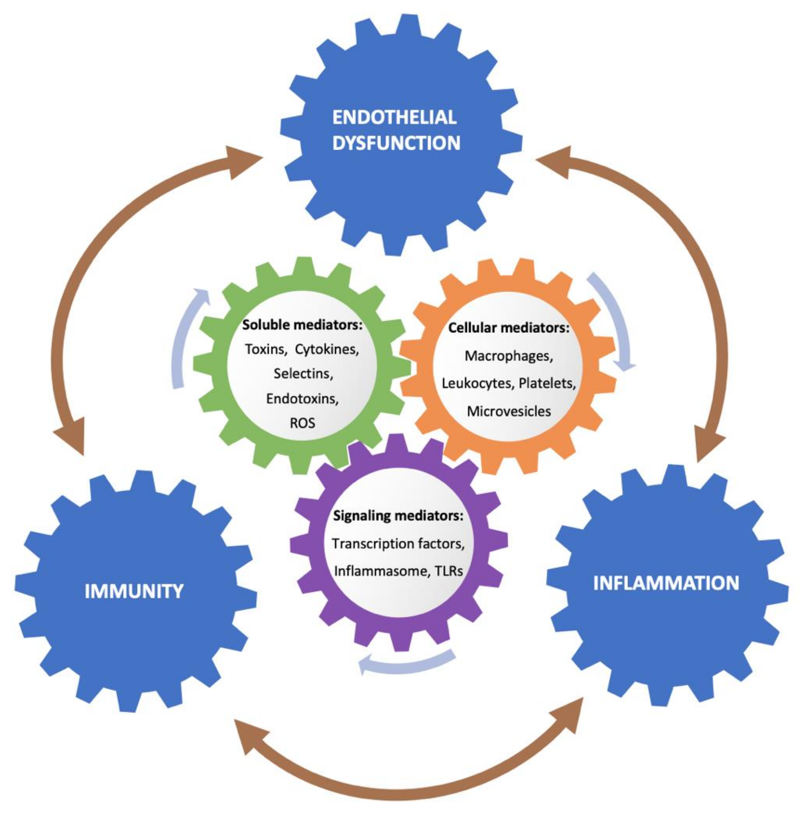 Toxins 12 00361 g002 Toxins 12 00361 g002