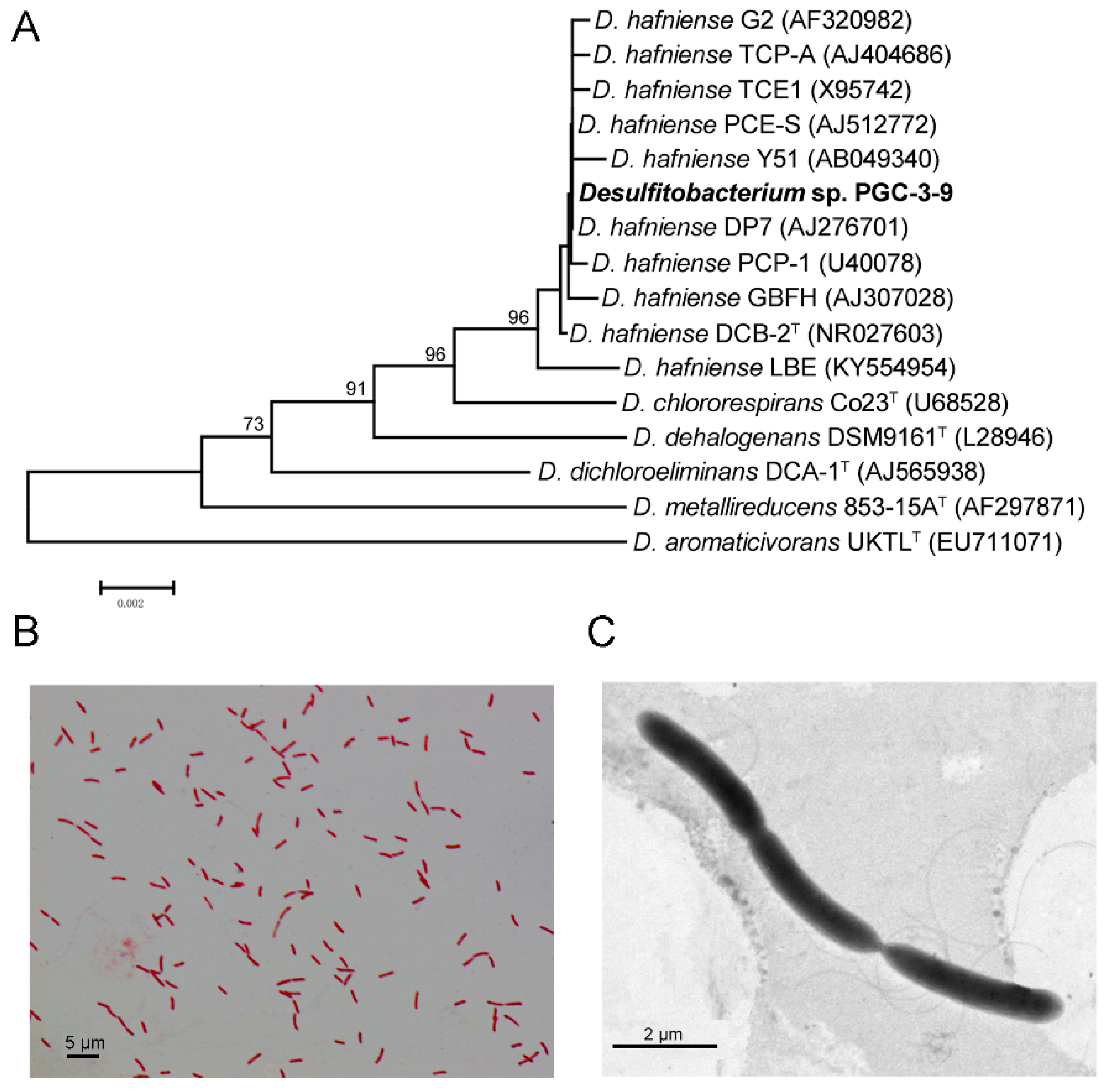 Toxins 12 00363 g003 Toxins 12 00363 g003