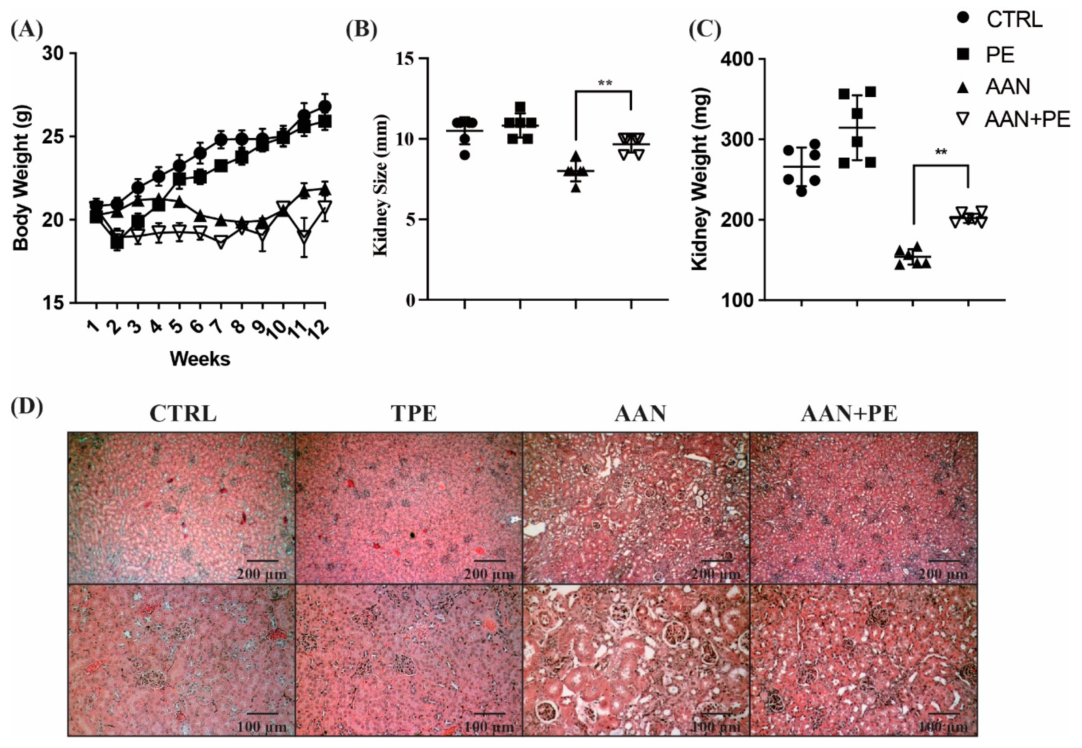 Toxins 12 00364 g002 Toxins 12 00364 g002