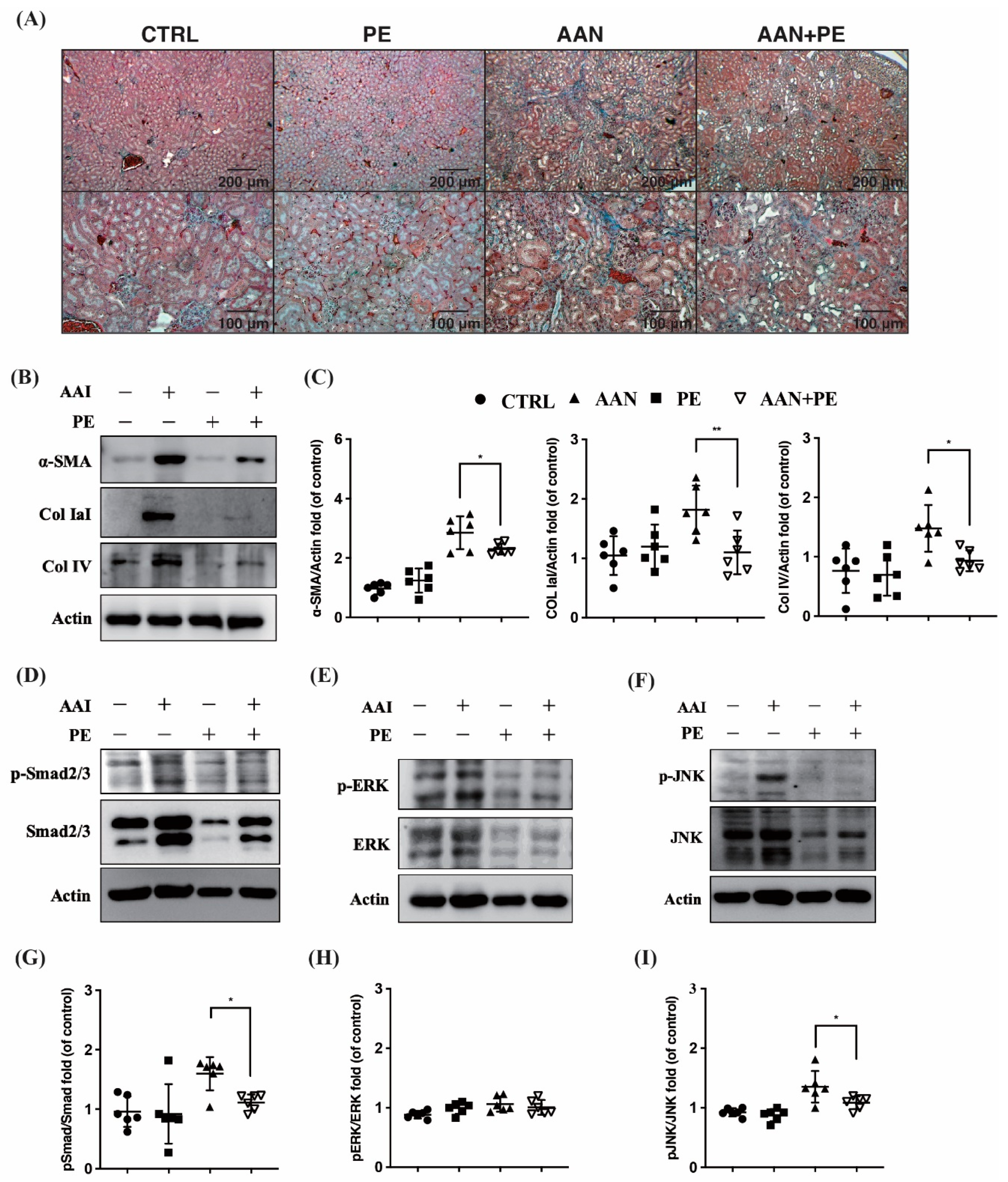 Toxins 12 00364 g004 Toxins 12 00364 g004