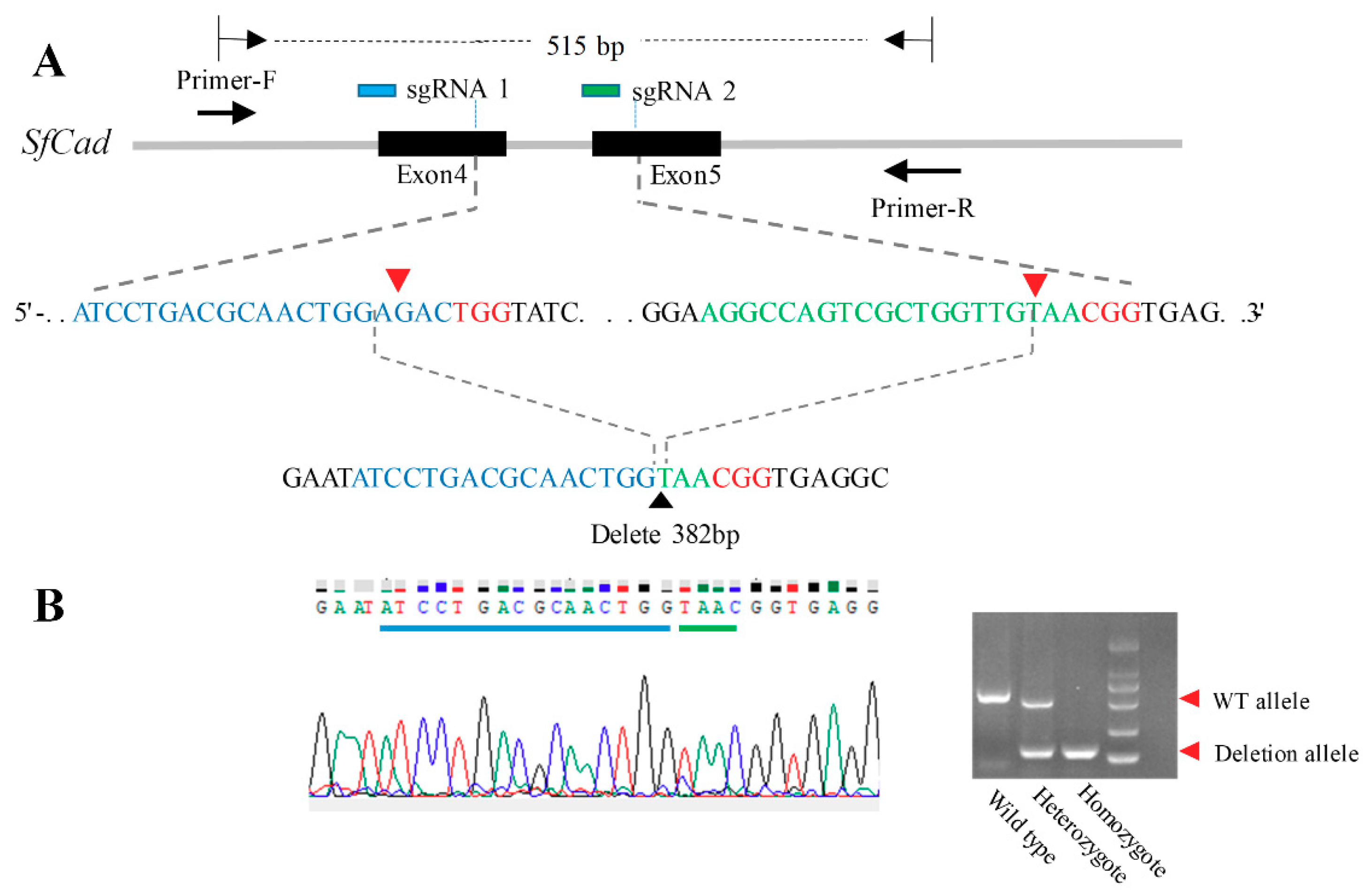 Toxins 12 00375 g001 Toxins 12 00375 g001
