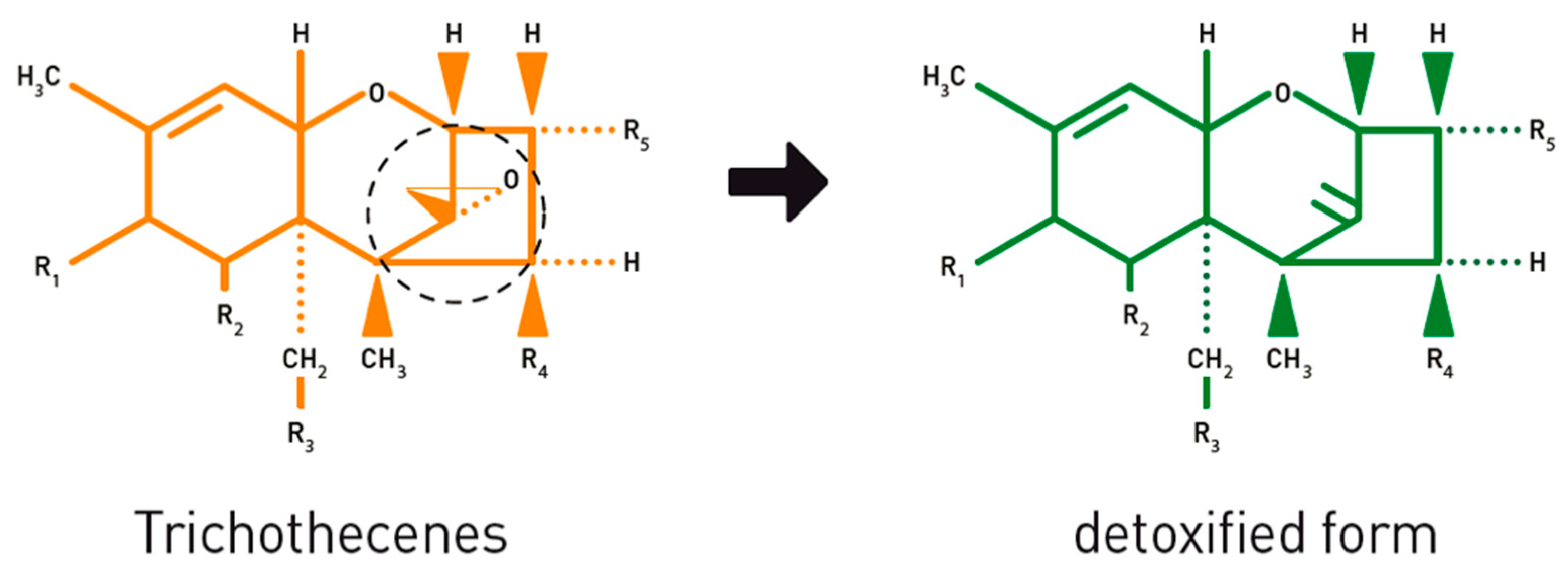 Toxins 12 00405 g010