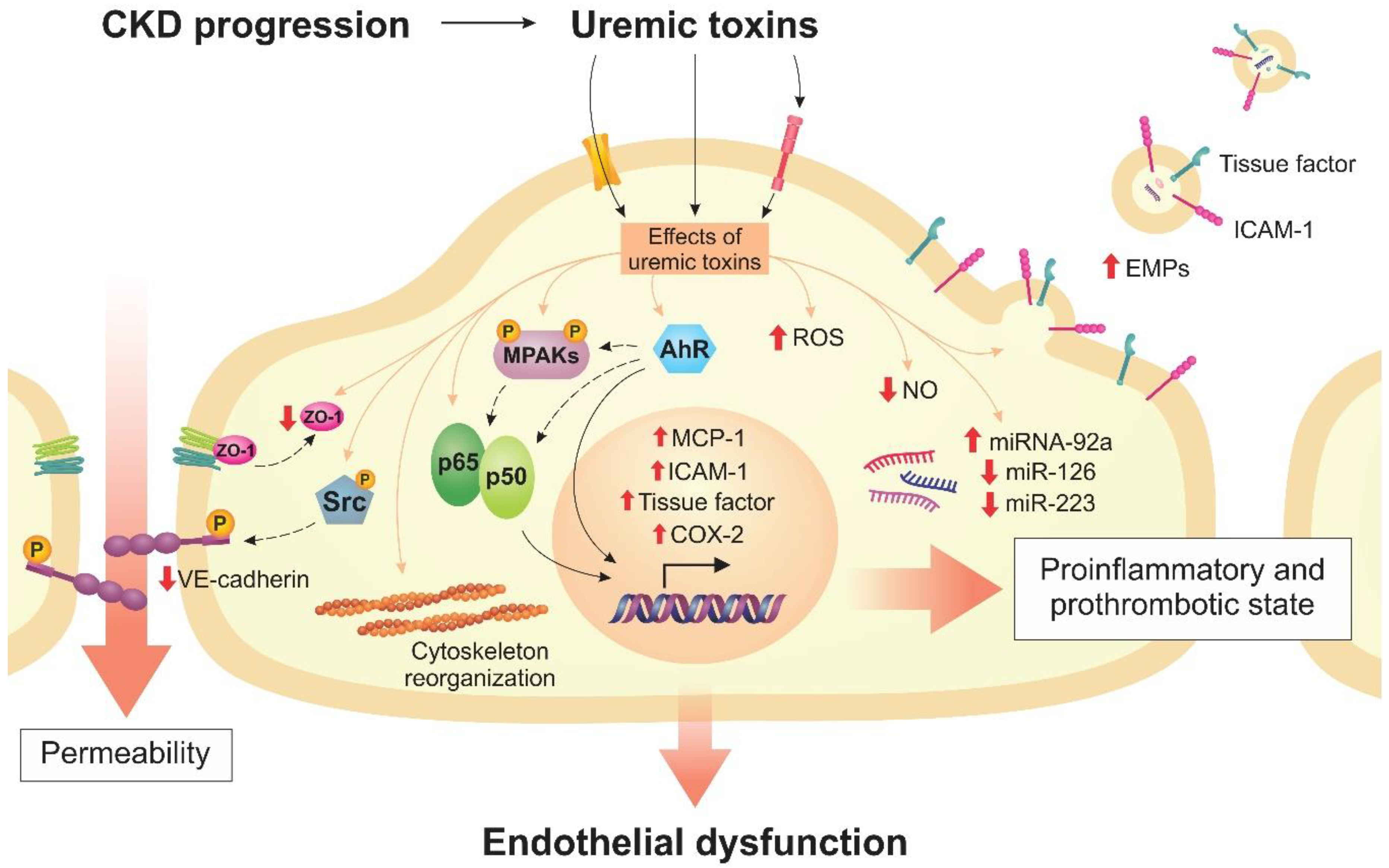 Toxins 12 00412 g004