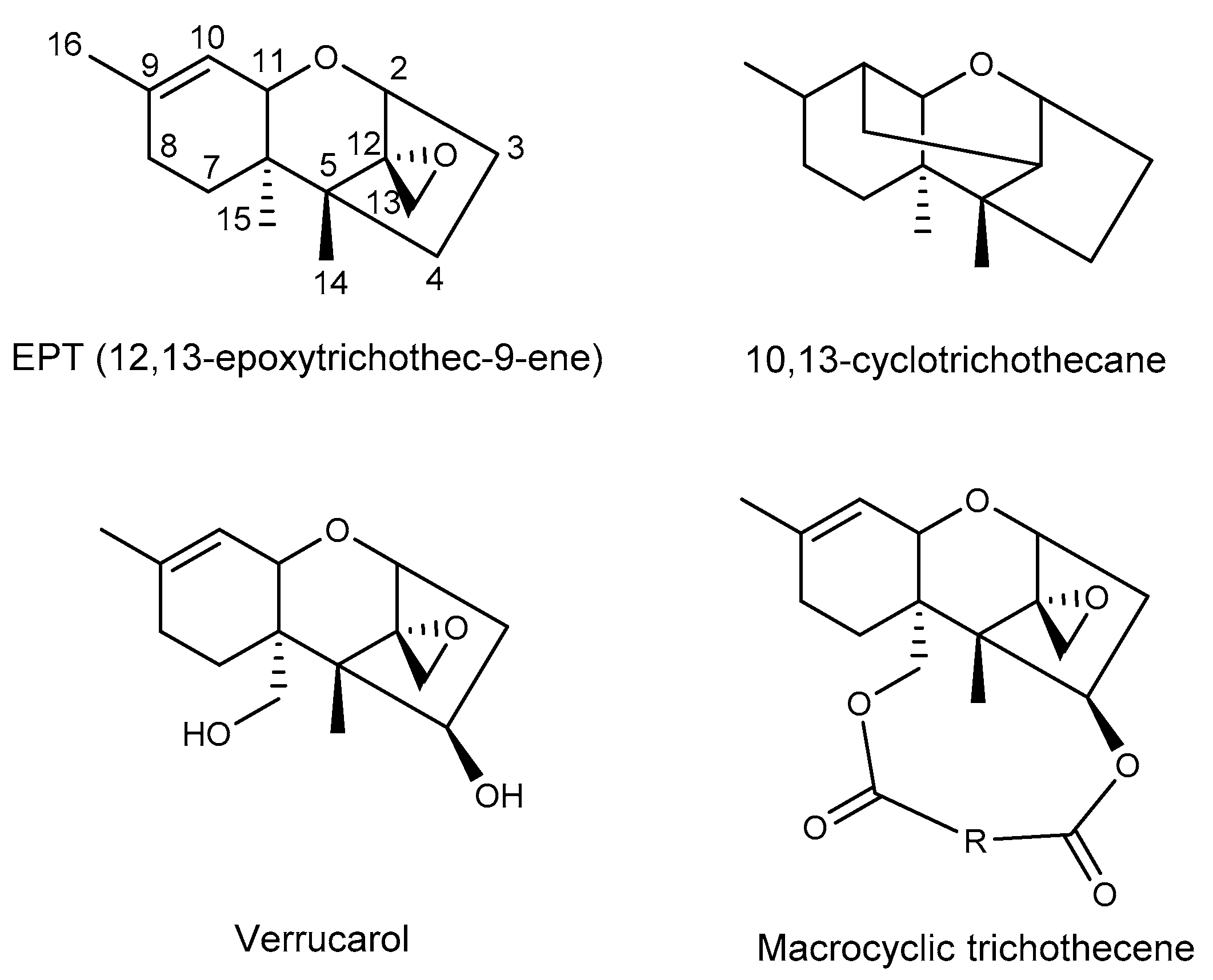 Toxins 12 00417 g001