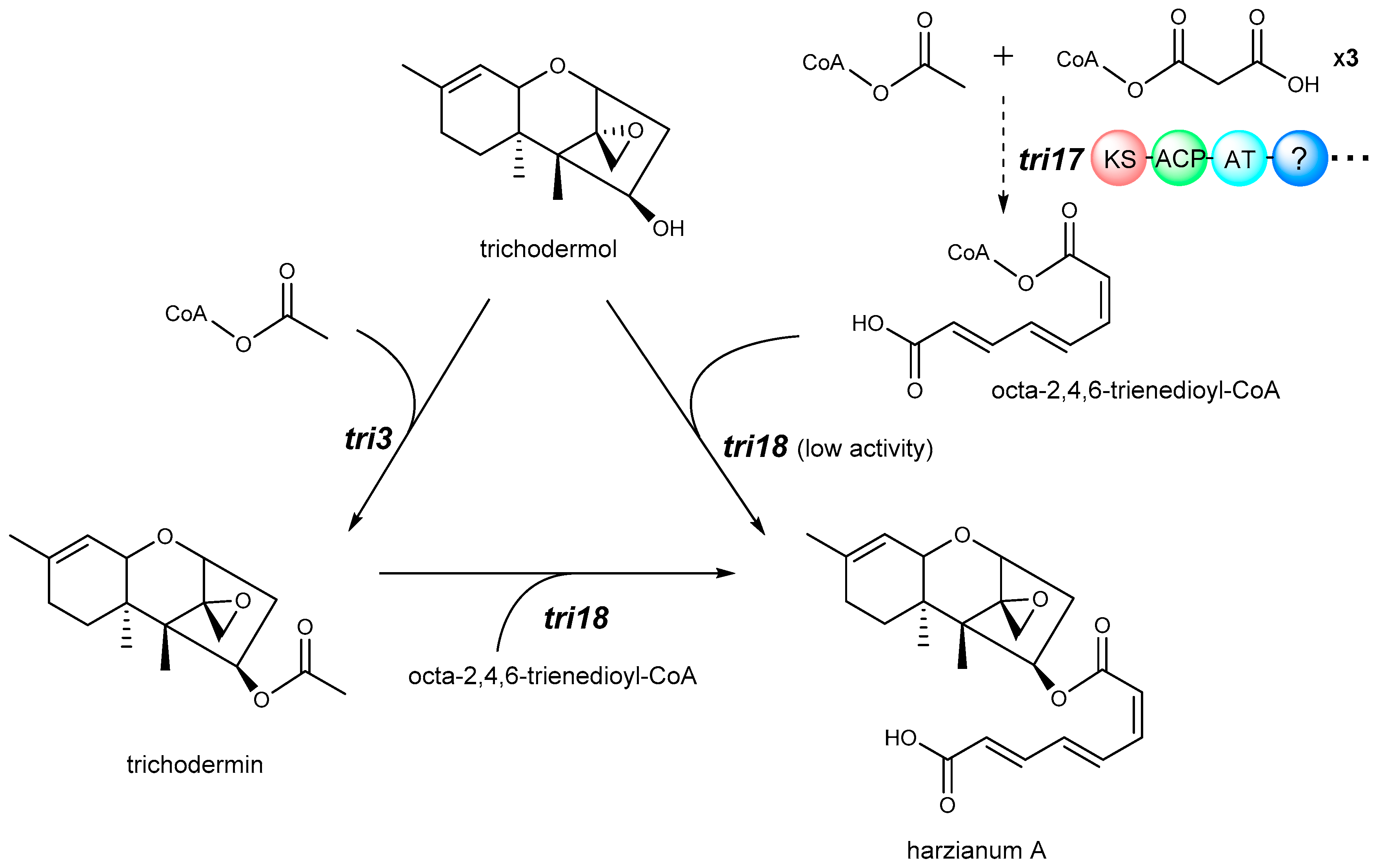 Toxins 12 00417 g004