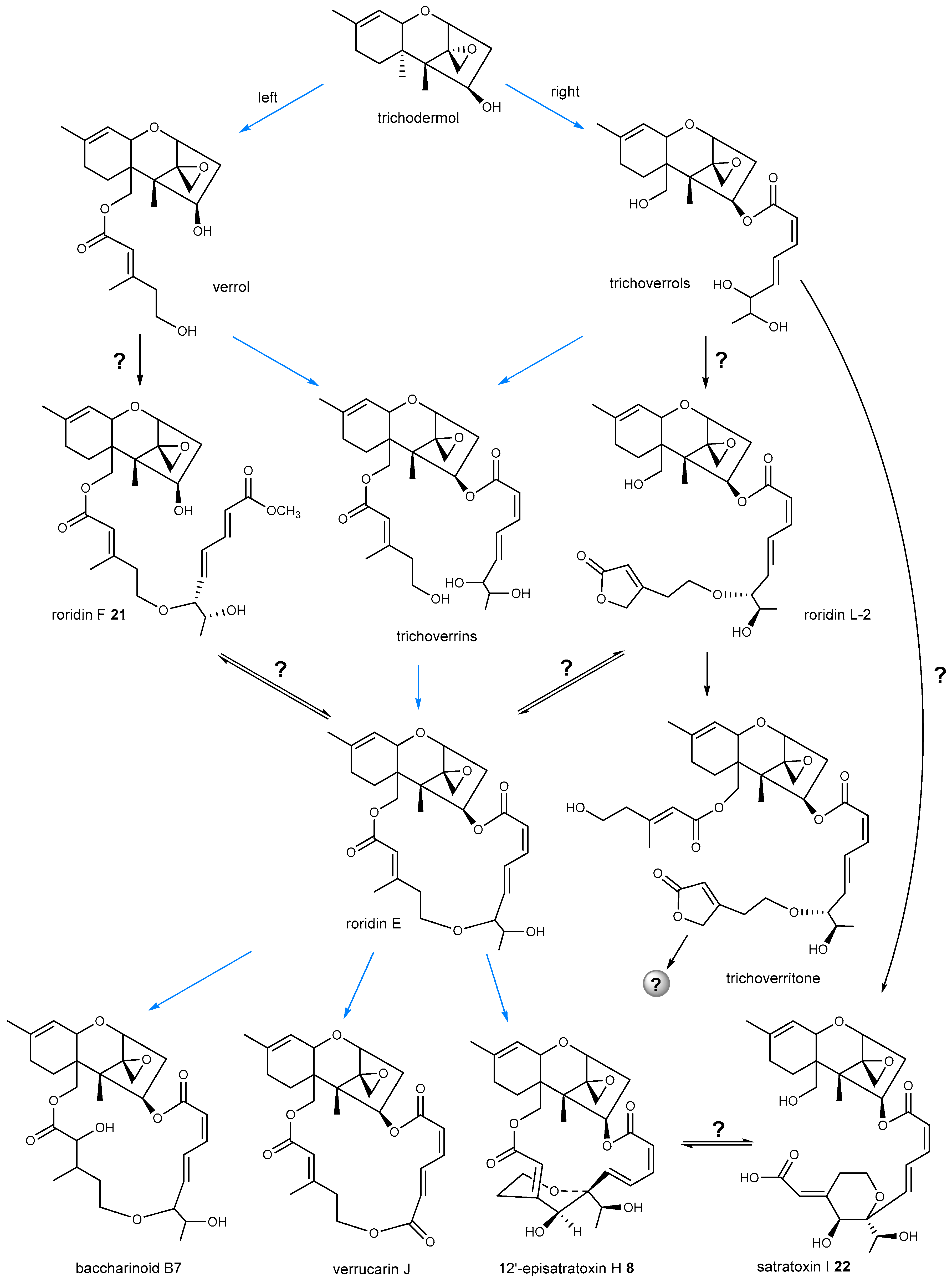 Toxins 12 00417 g006