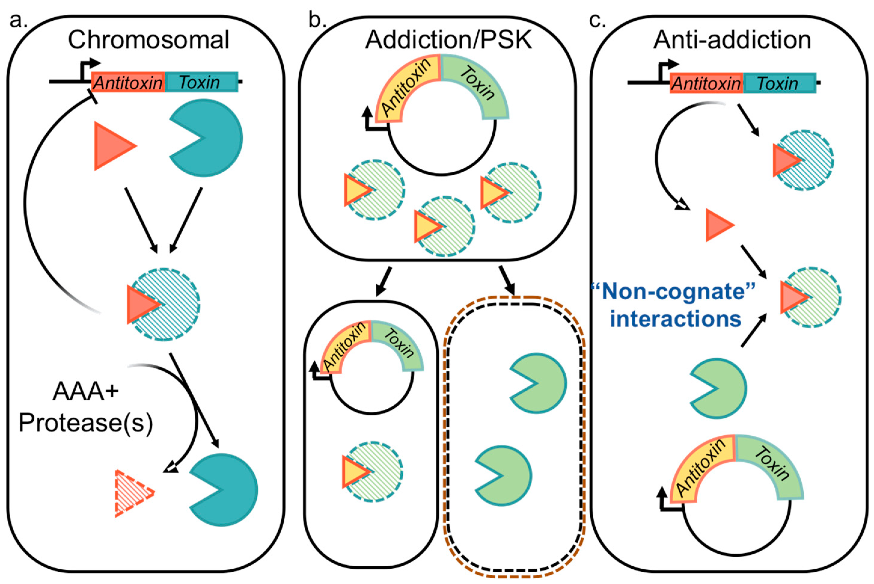 Toxins 12 00422 g001