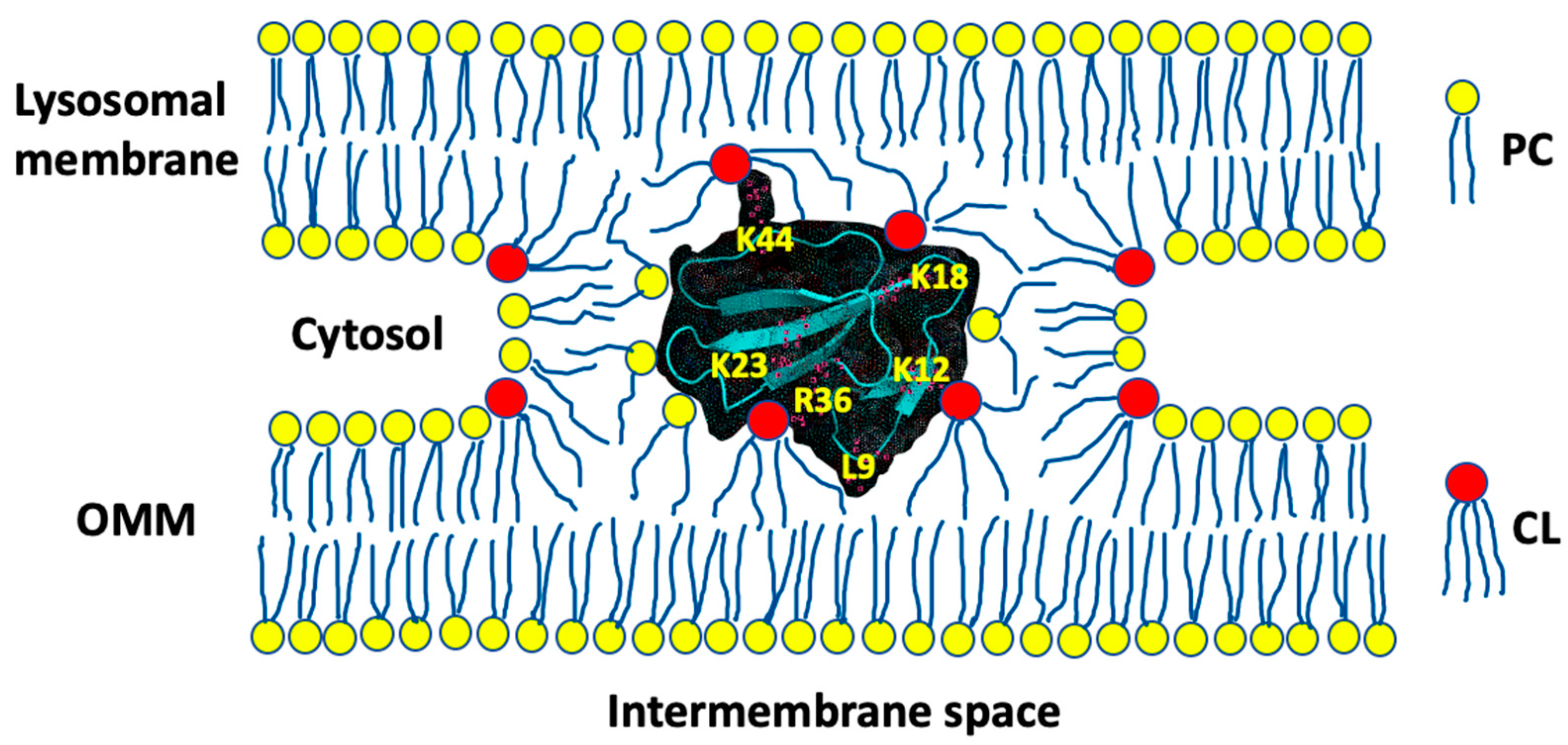 Toxins 12 00425 g012