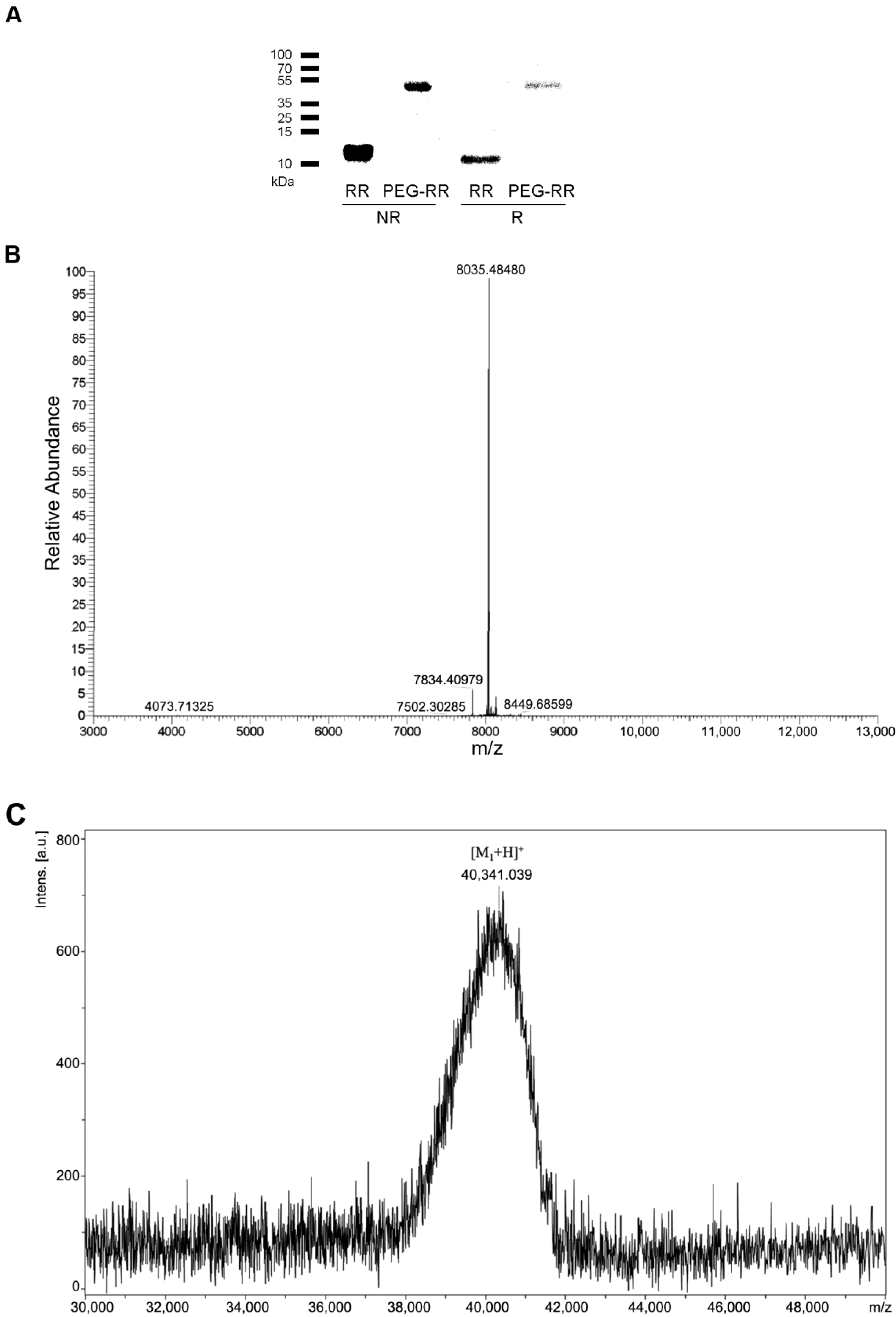 Toxins 12 00426 g001 Toxins 12 00426 g001