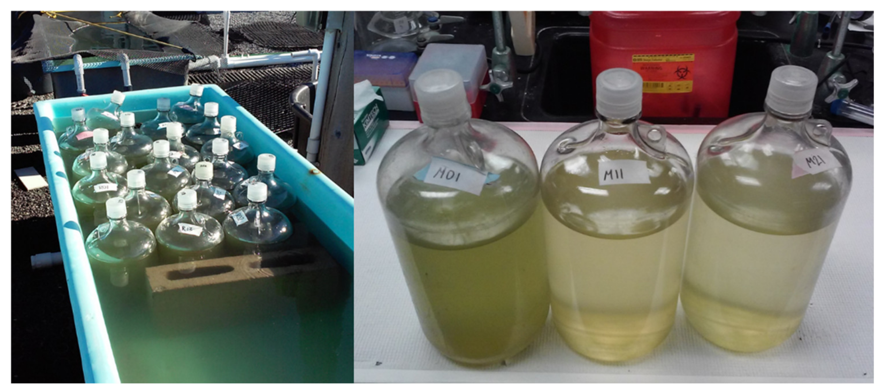 Toxins 12 00428 g009