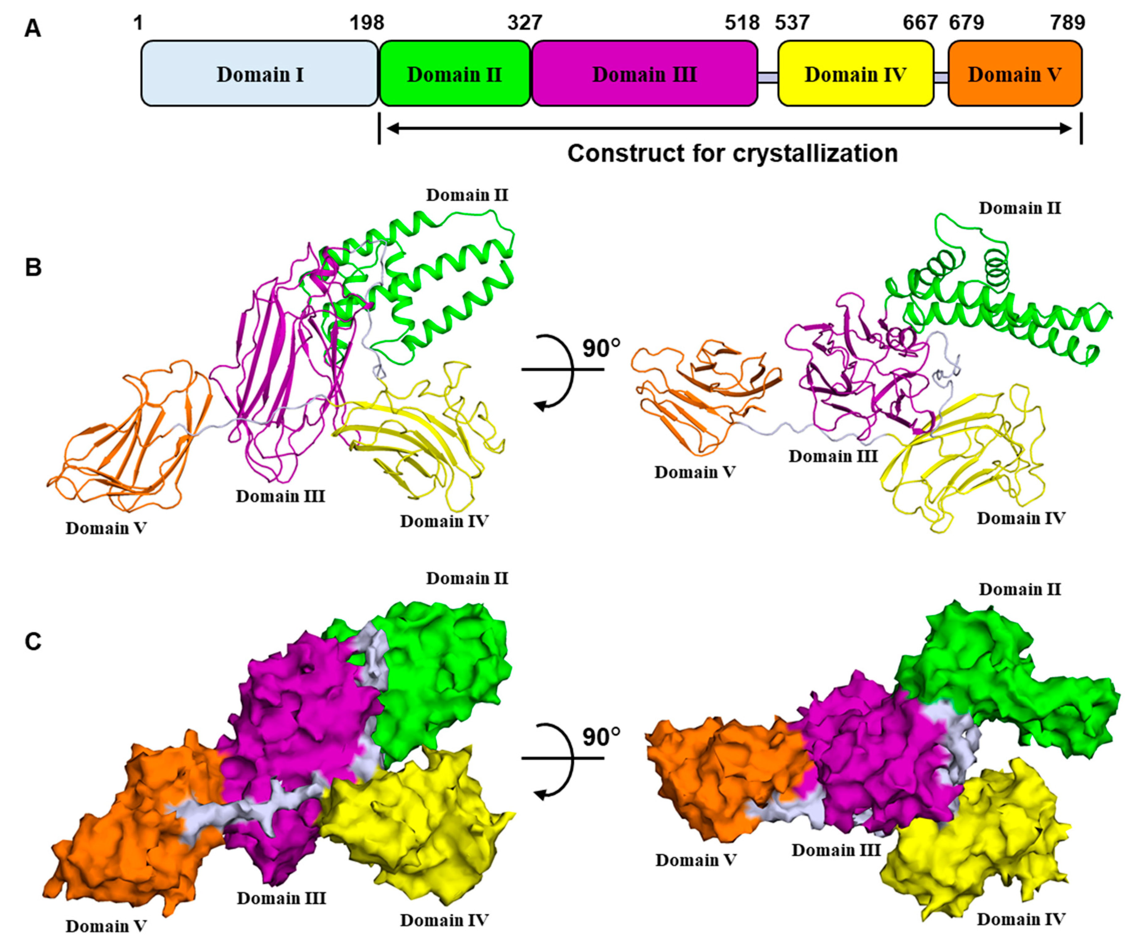 Toxins 12 00438 g001 Toxins 12 00438 g001