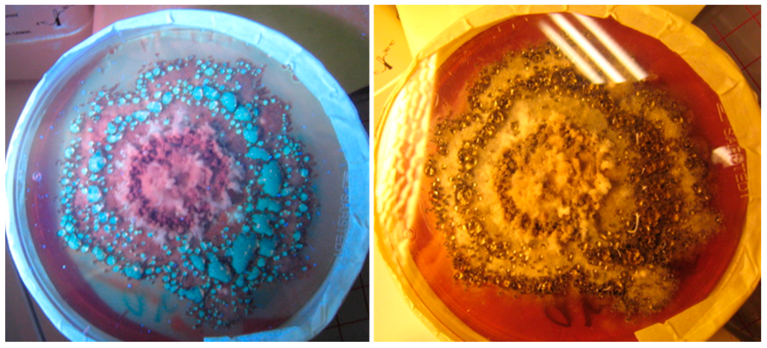 Toxins 12 00443 g004