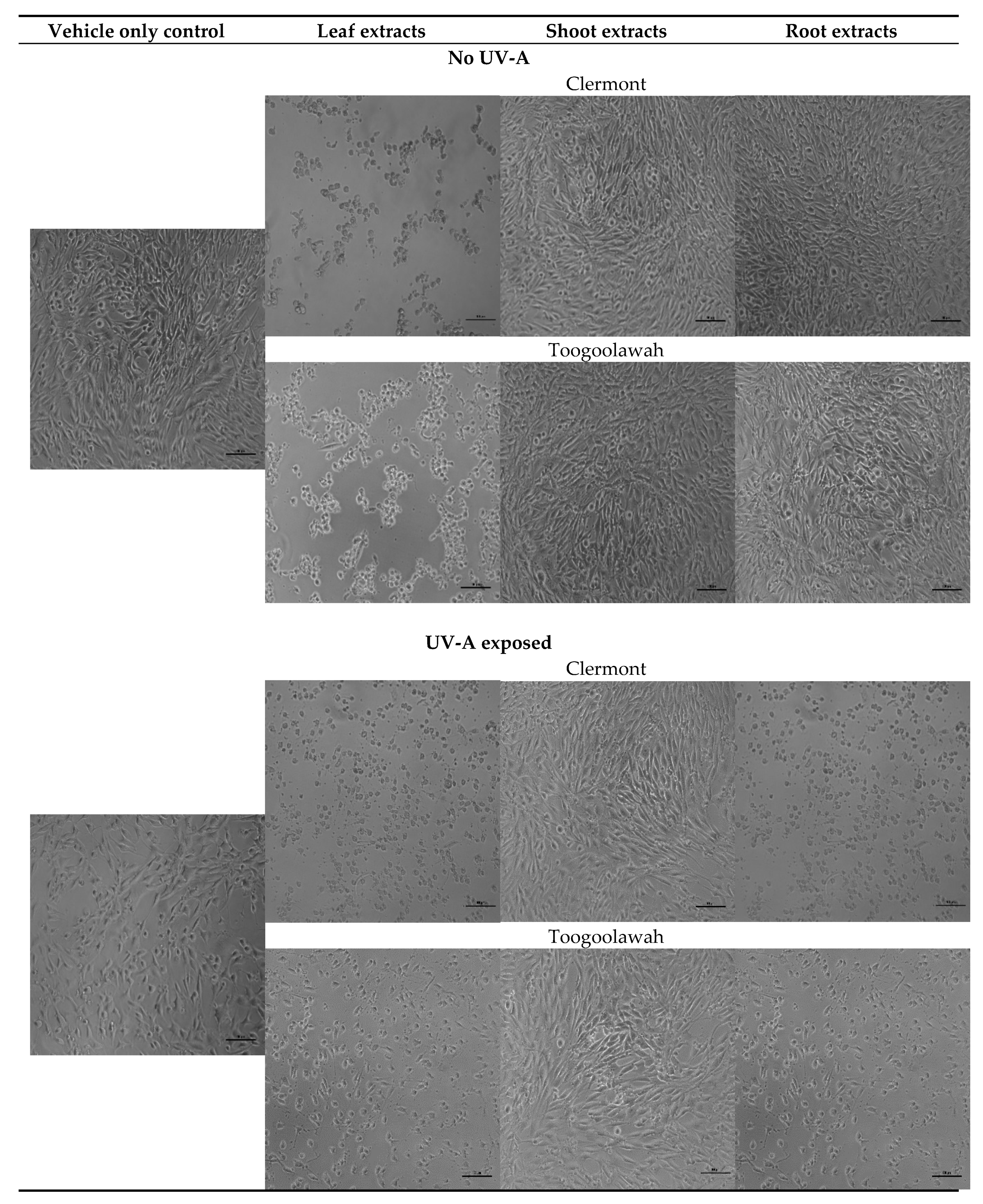 Toxins 12 00447 g006