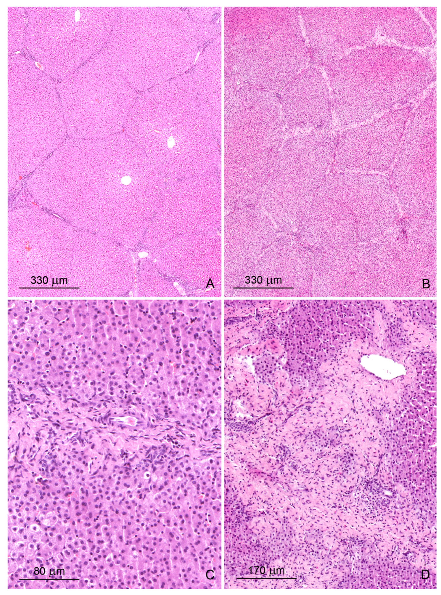 Toxins 12 00463 g001 Toxins 12 00463 g001