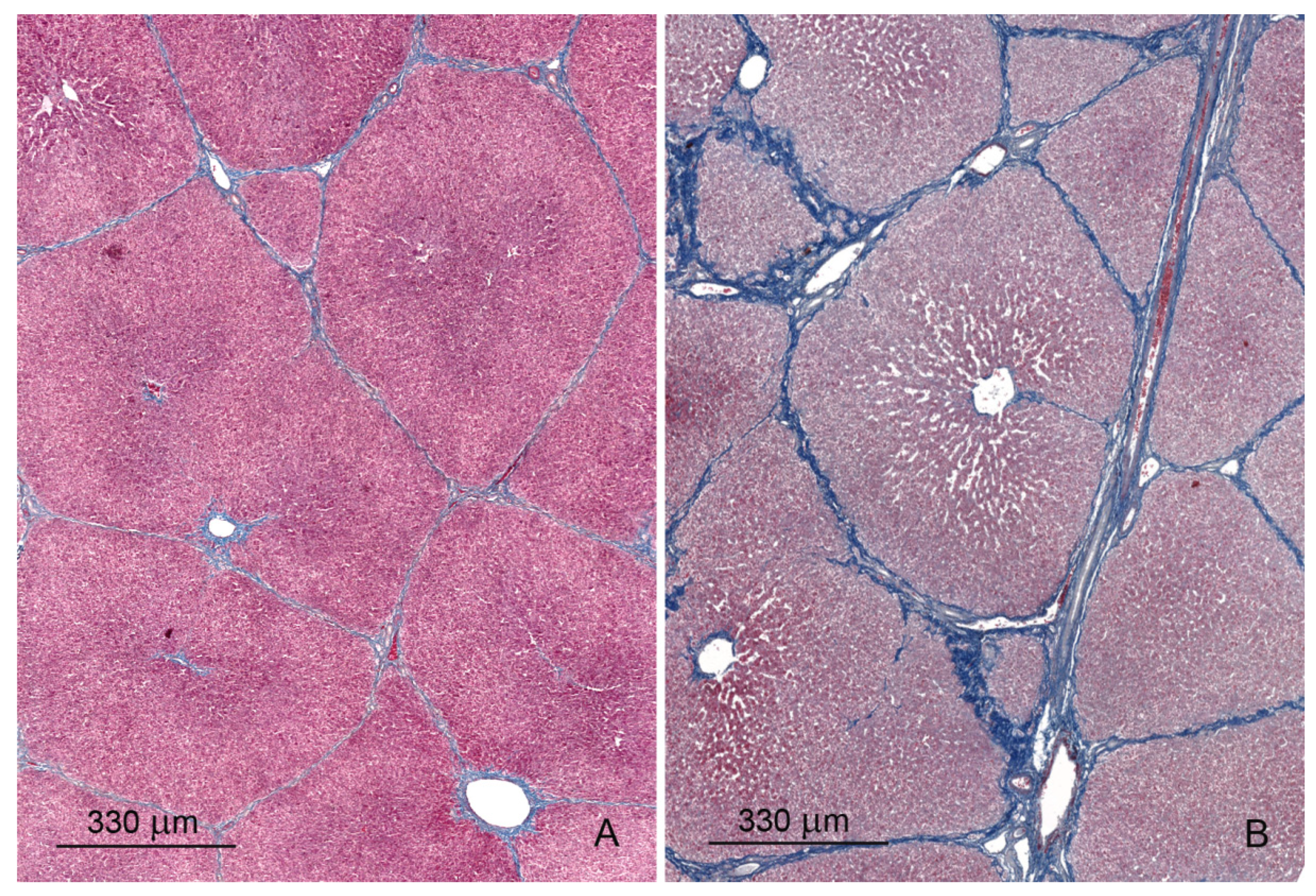 Toxins 12 00463 g002 Toxins 12 00463 g002