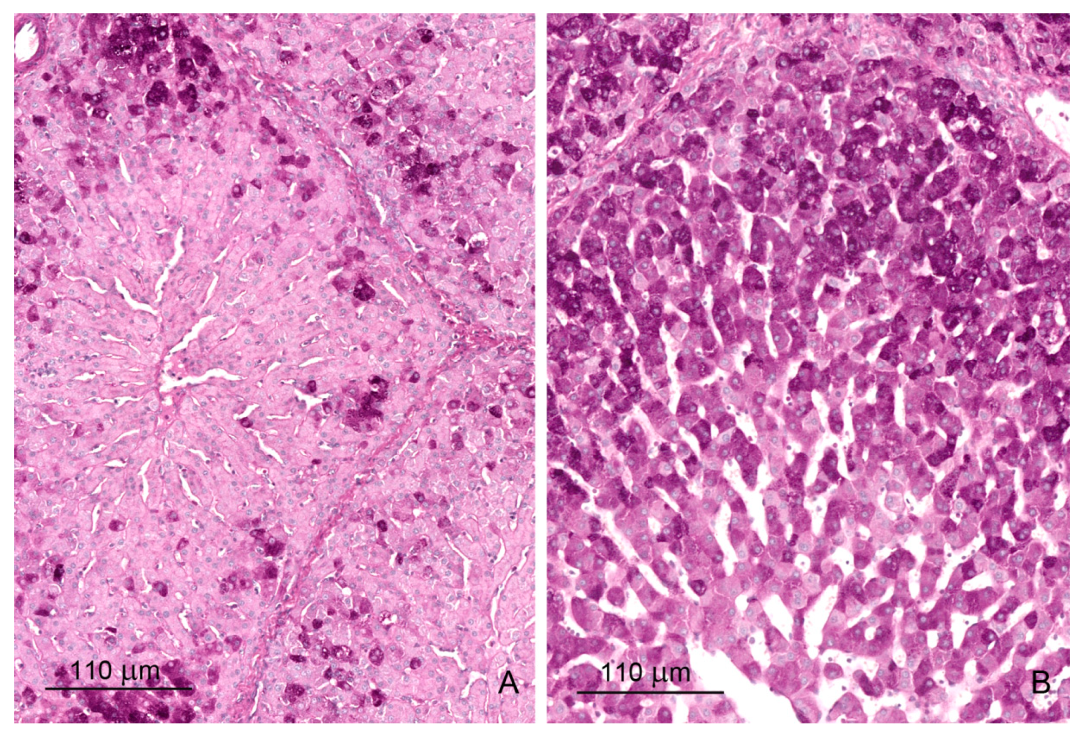 Toxins 12 00463 g005 Toxins 12 00463 g005