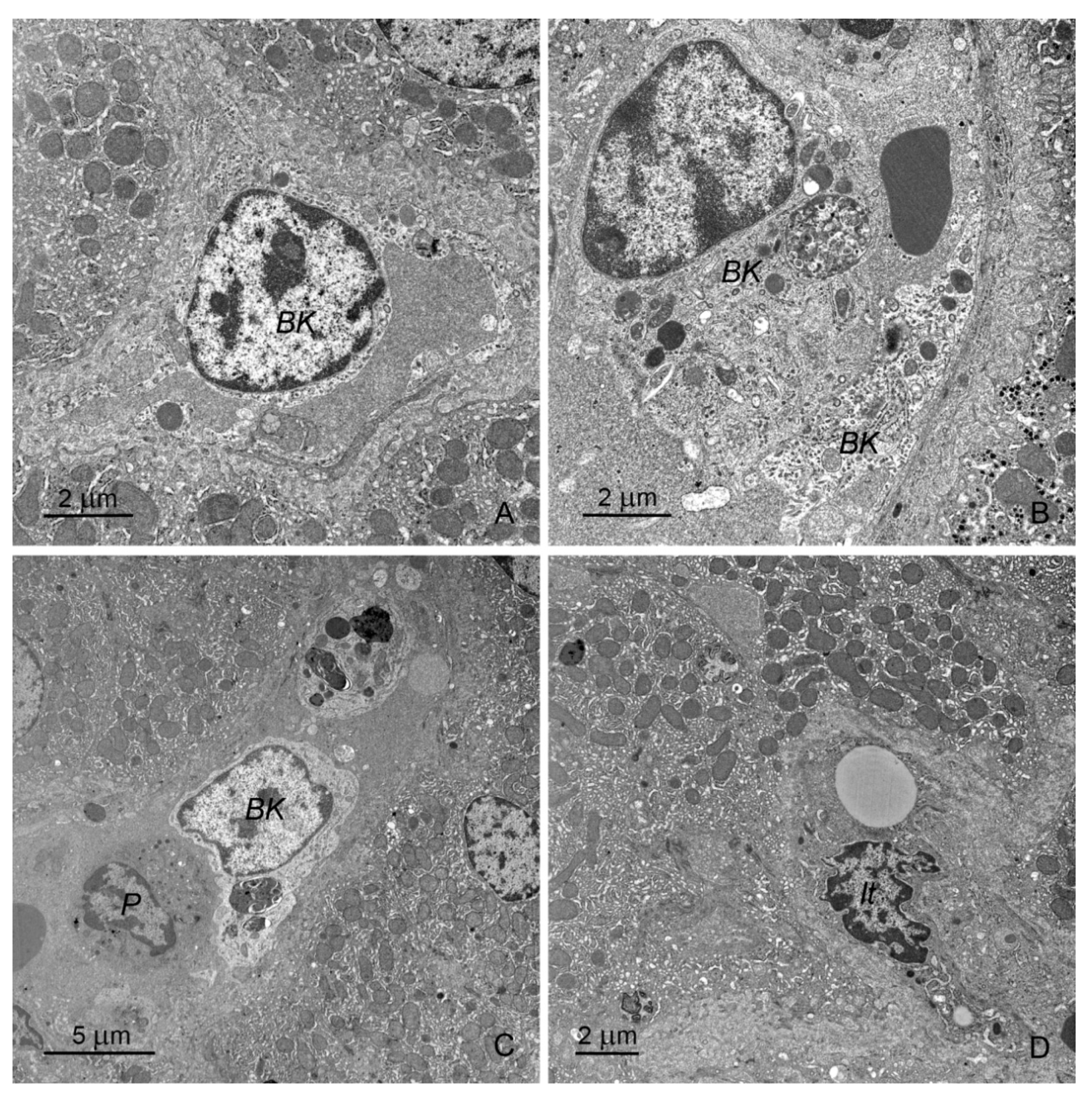Toxins 12 00463 g008 Toxins 12 00463 g008