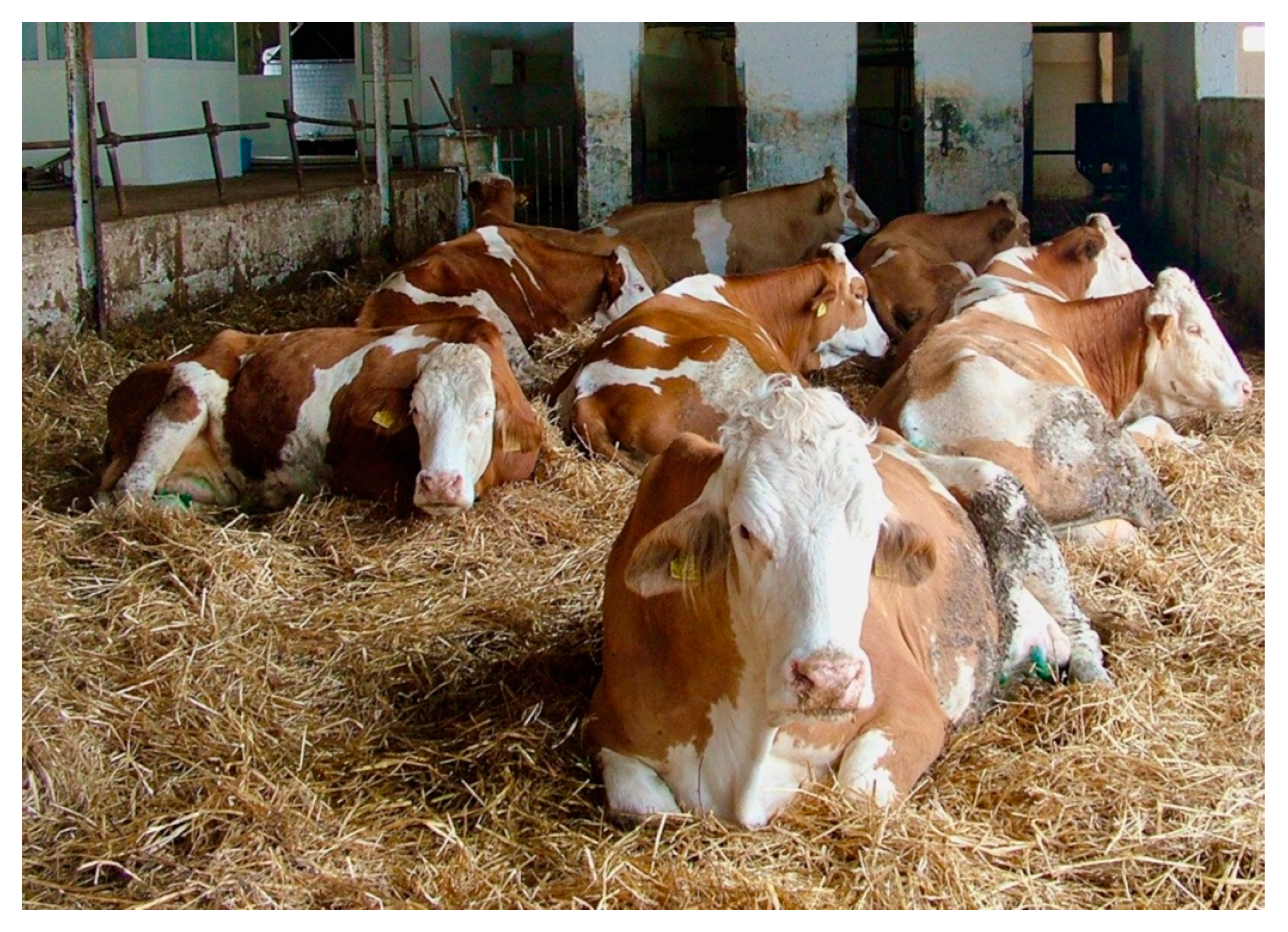 Toxins 12 00471 g001