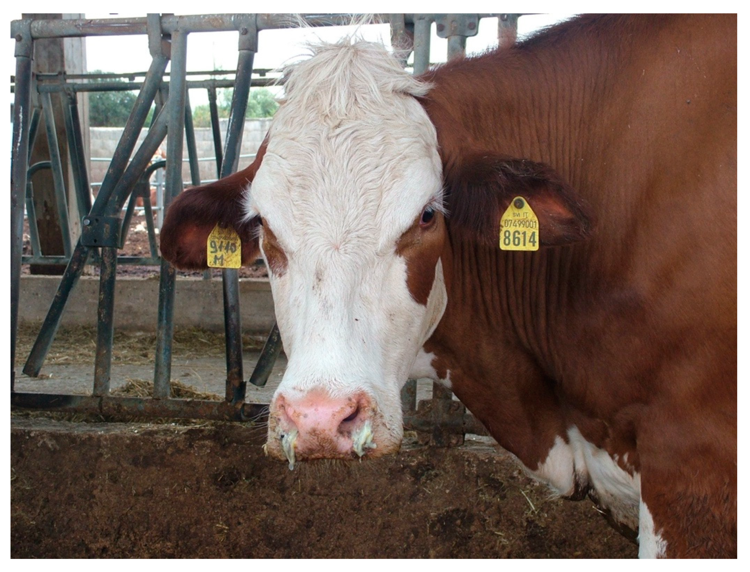 Toxins 12 00471 g002