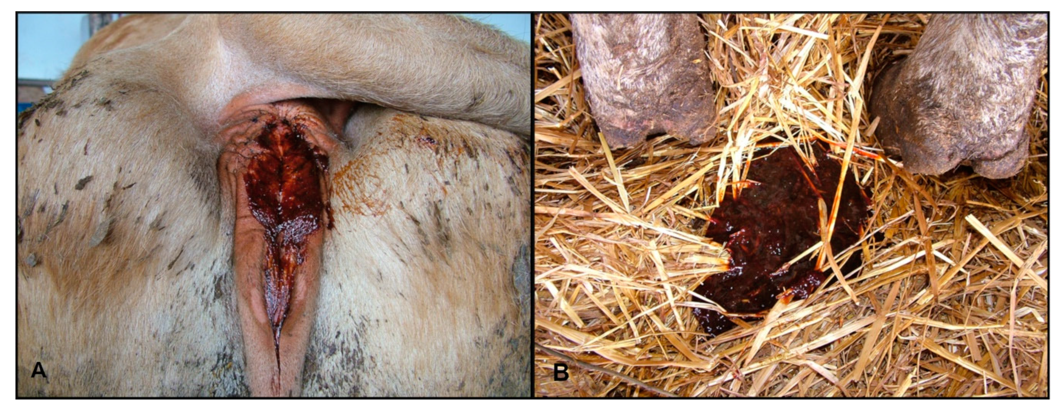 Toxins 12 00471 g003