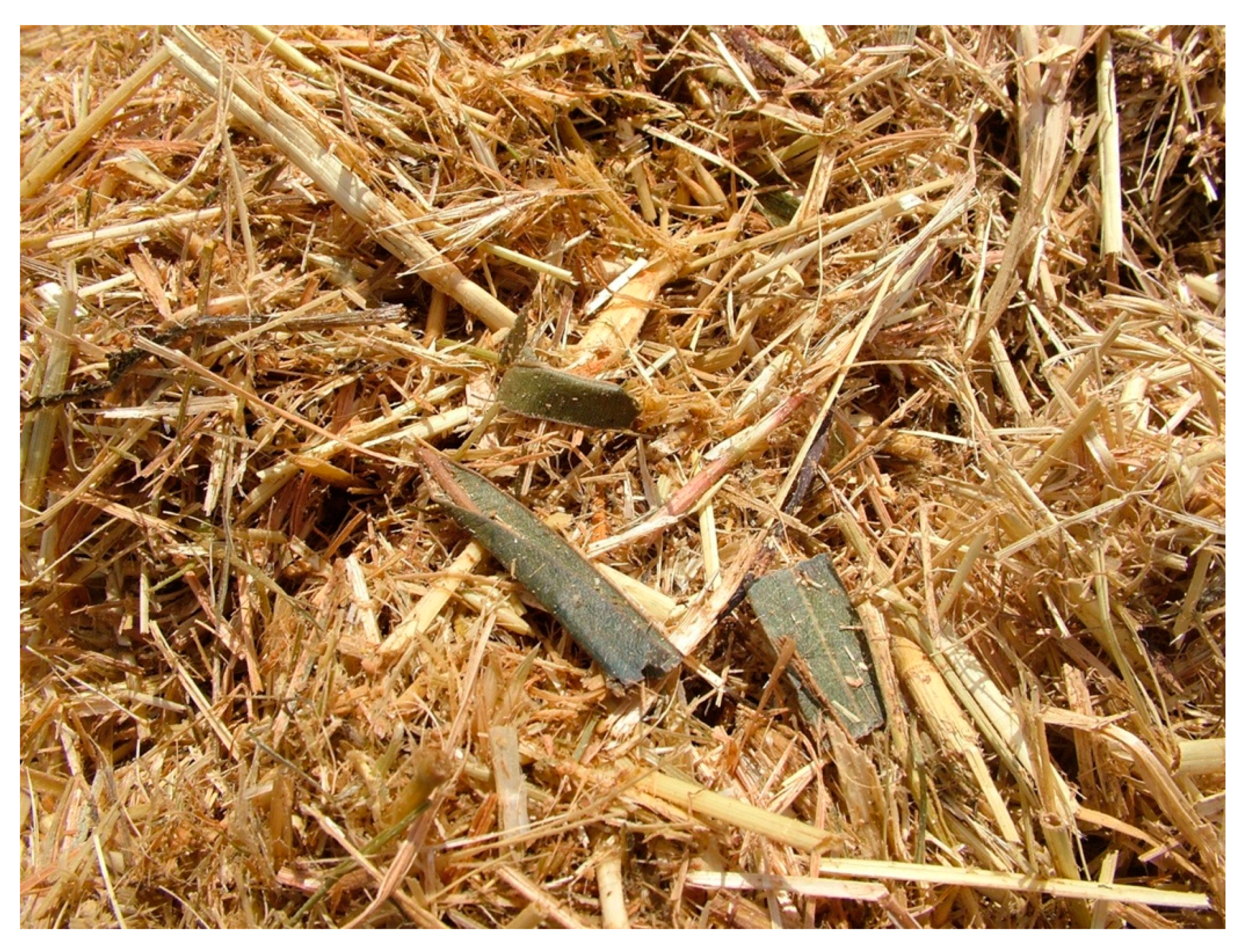 Toxins 12 00471 g004