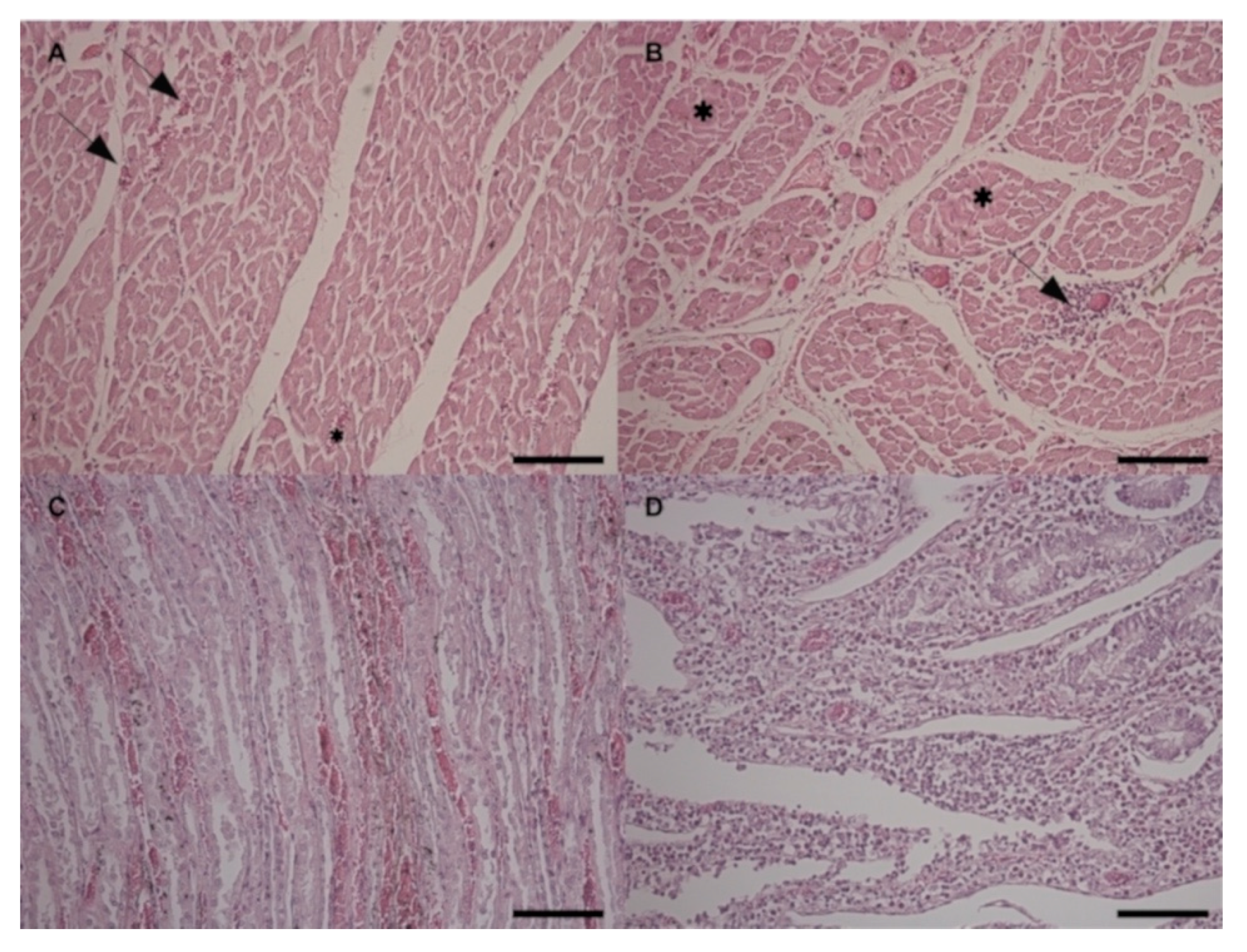 Toxins 12 00471 g006