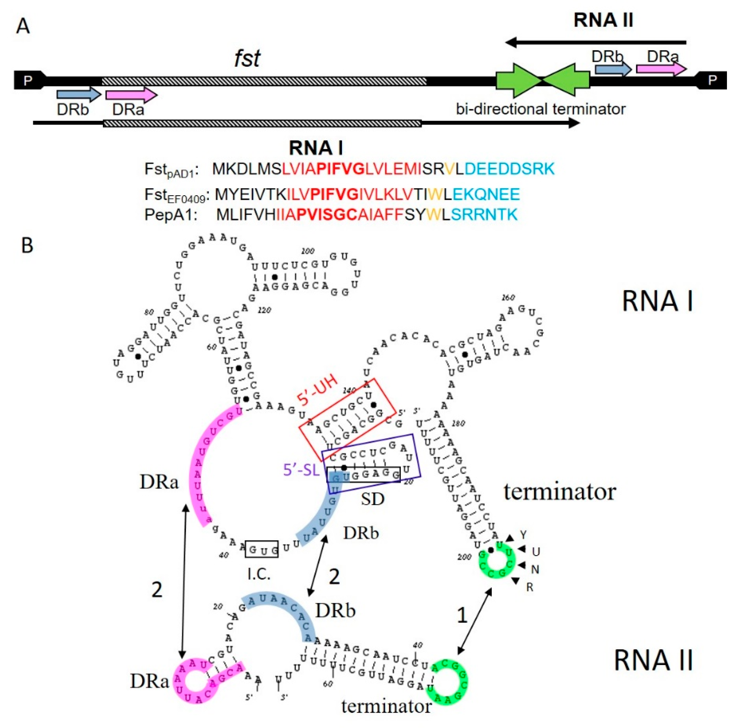 Toxins 12 00474 g001