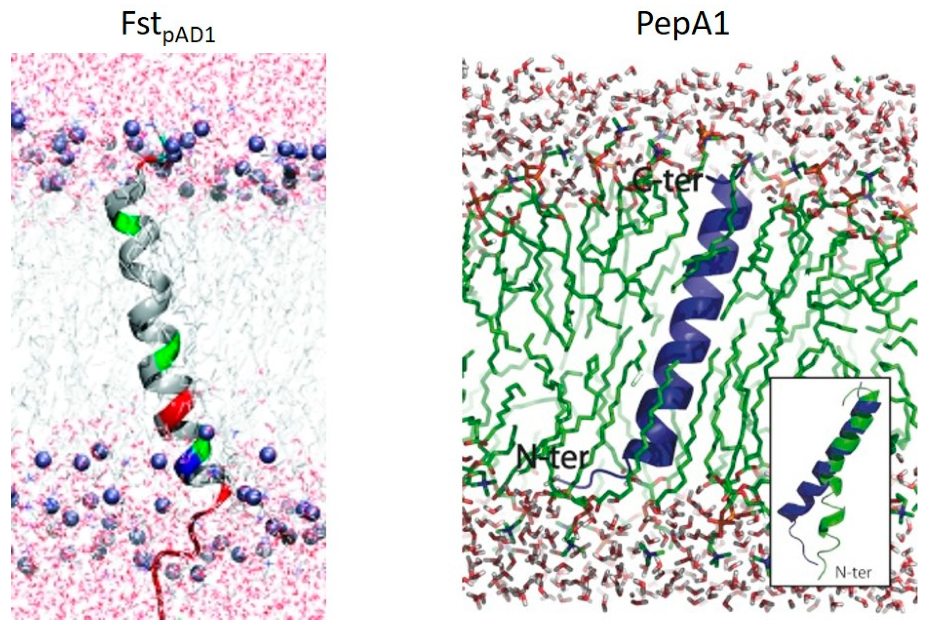 Toxins 12 00474 g002