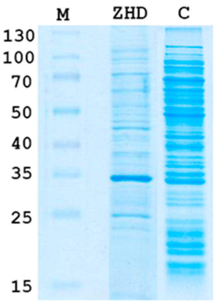 Toxins 12 00475 g002